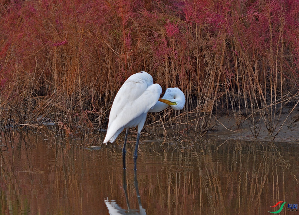 DSC_0454.jpg