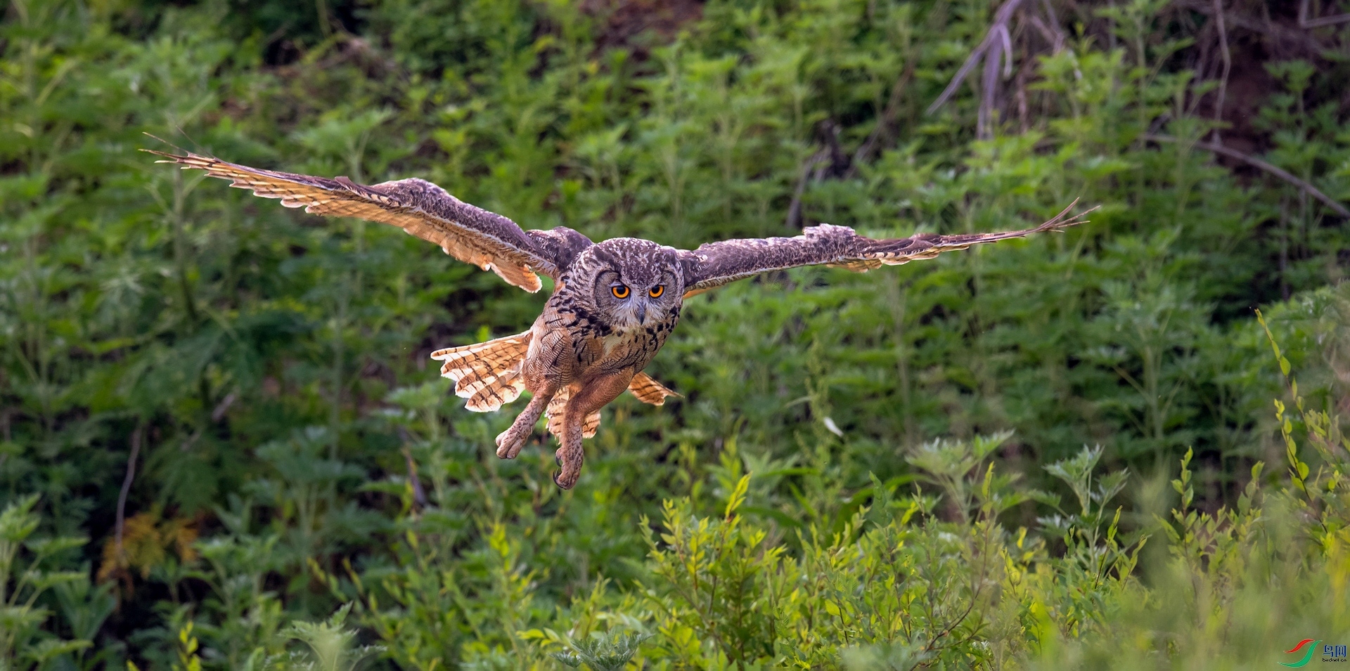 _DSC2124==1w�ĸ���.jpg