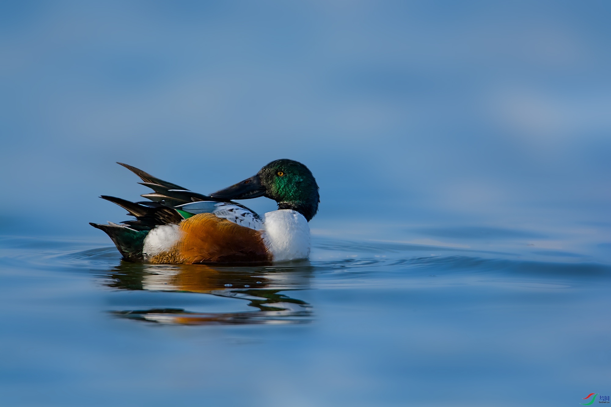 DSC_3358.jpg