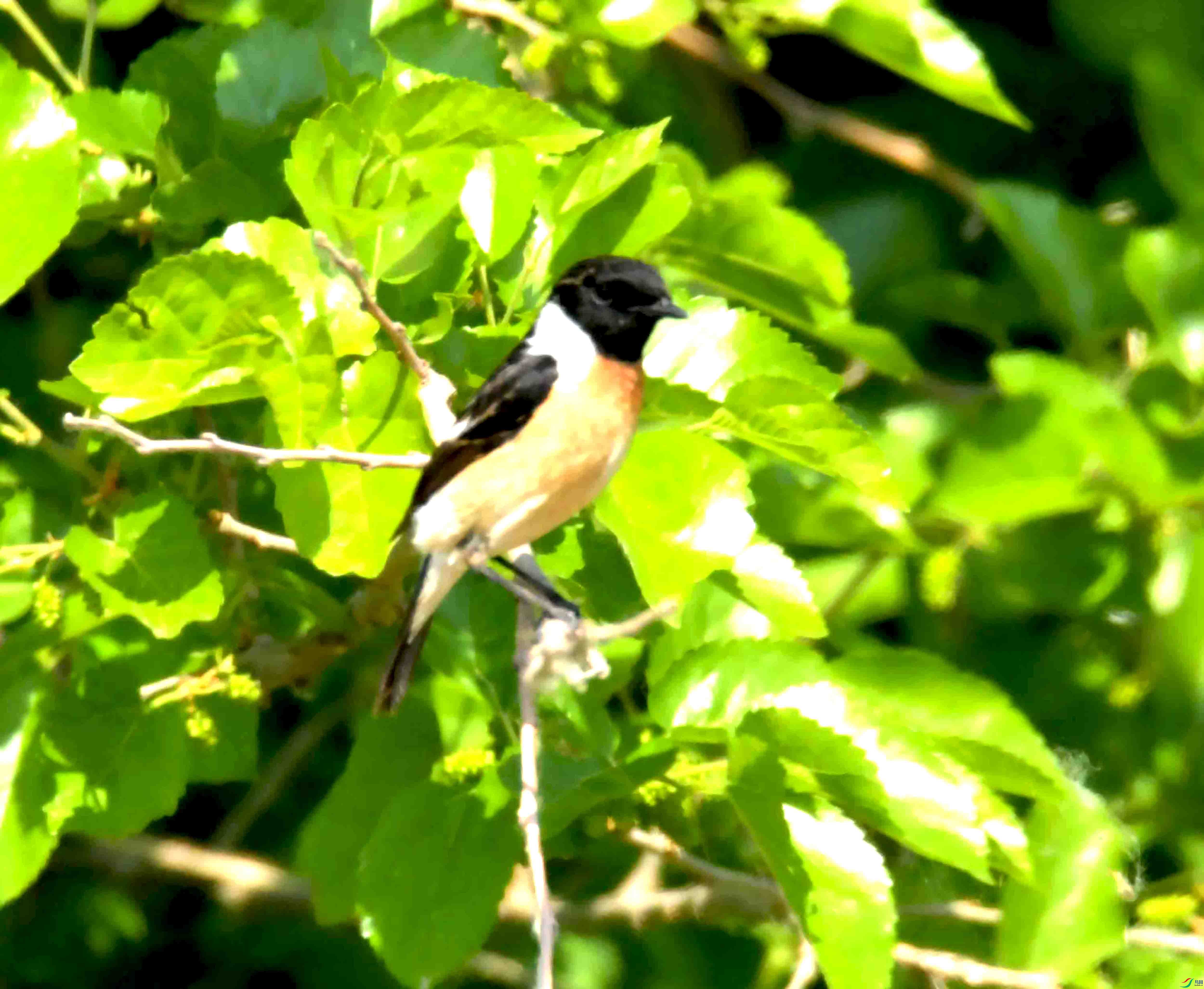 DSC_2615.JPG