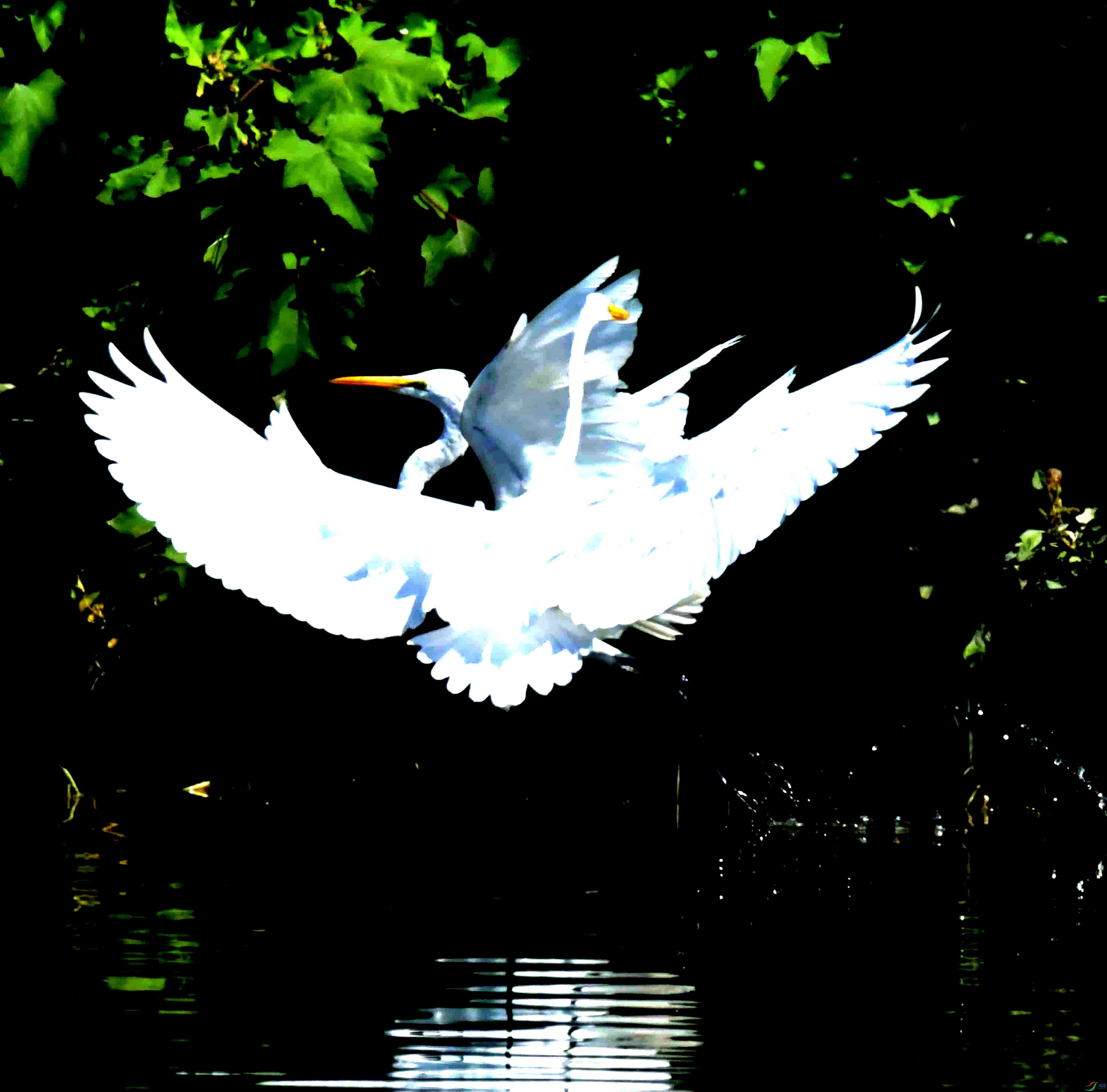 DSC_1568.JPG