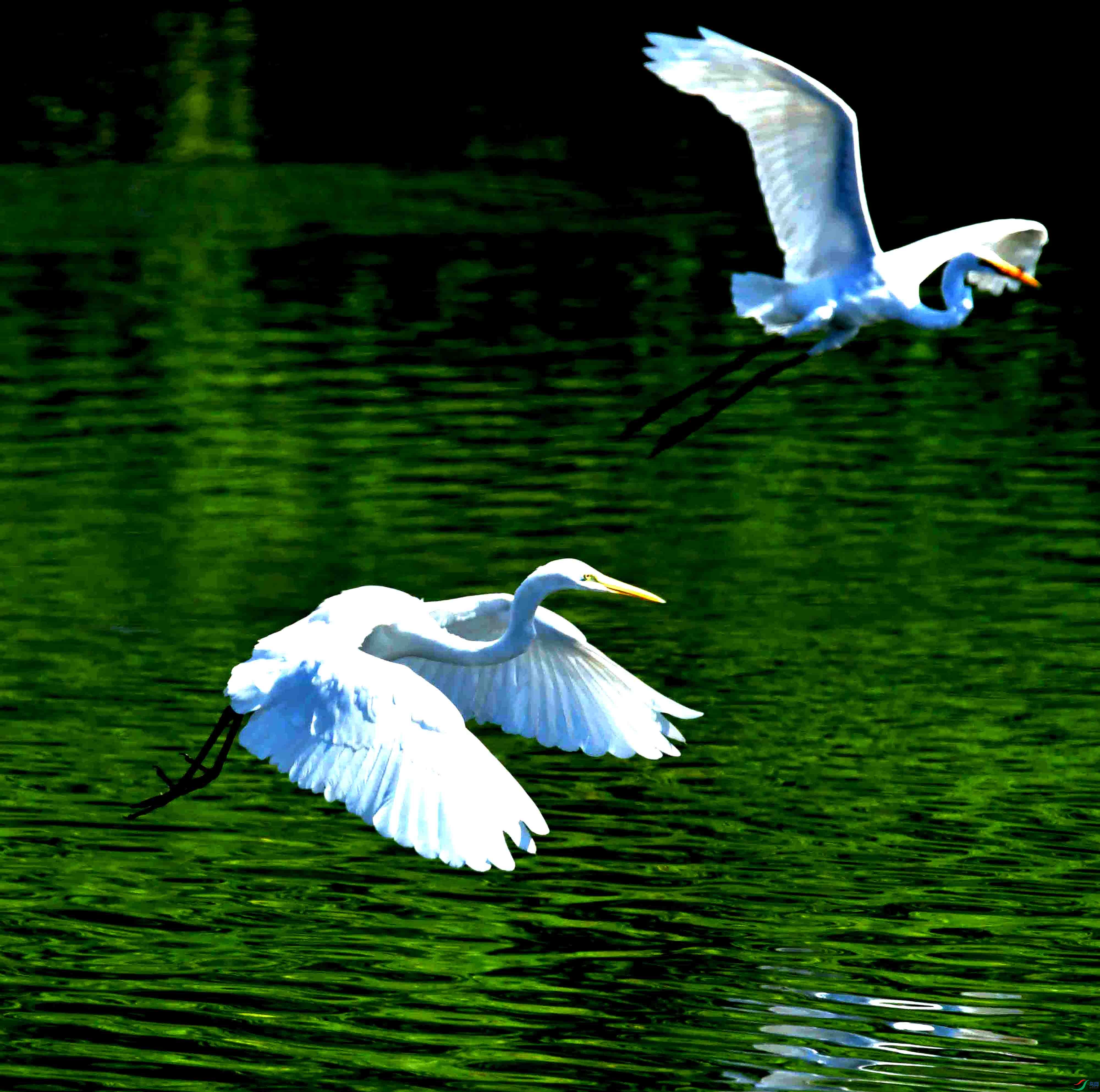 DSC_1571.JPG
