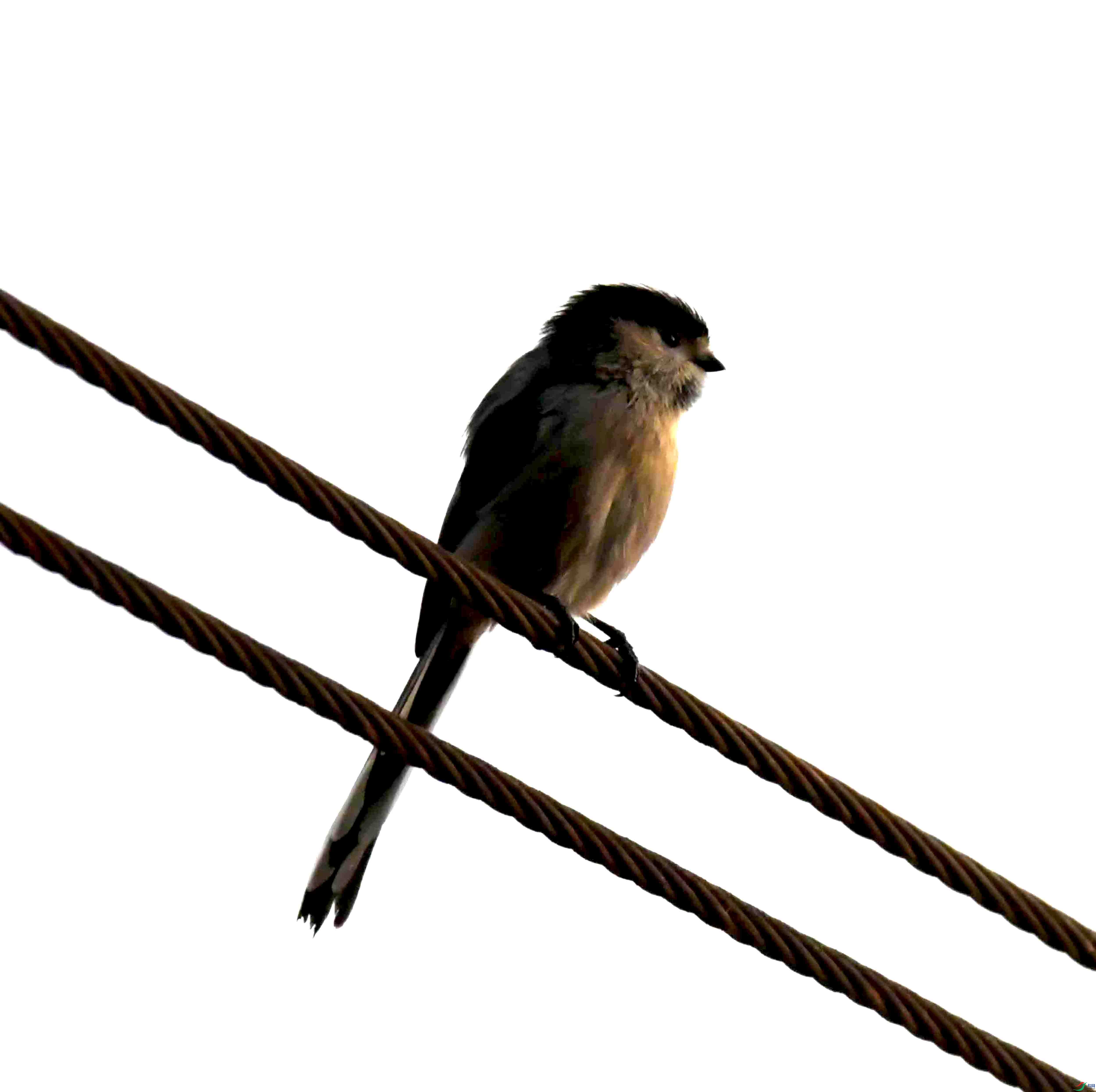 DSC_1860.JPG