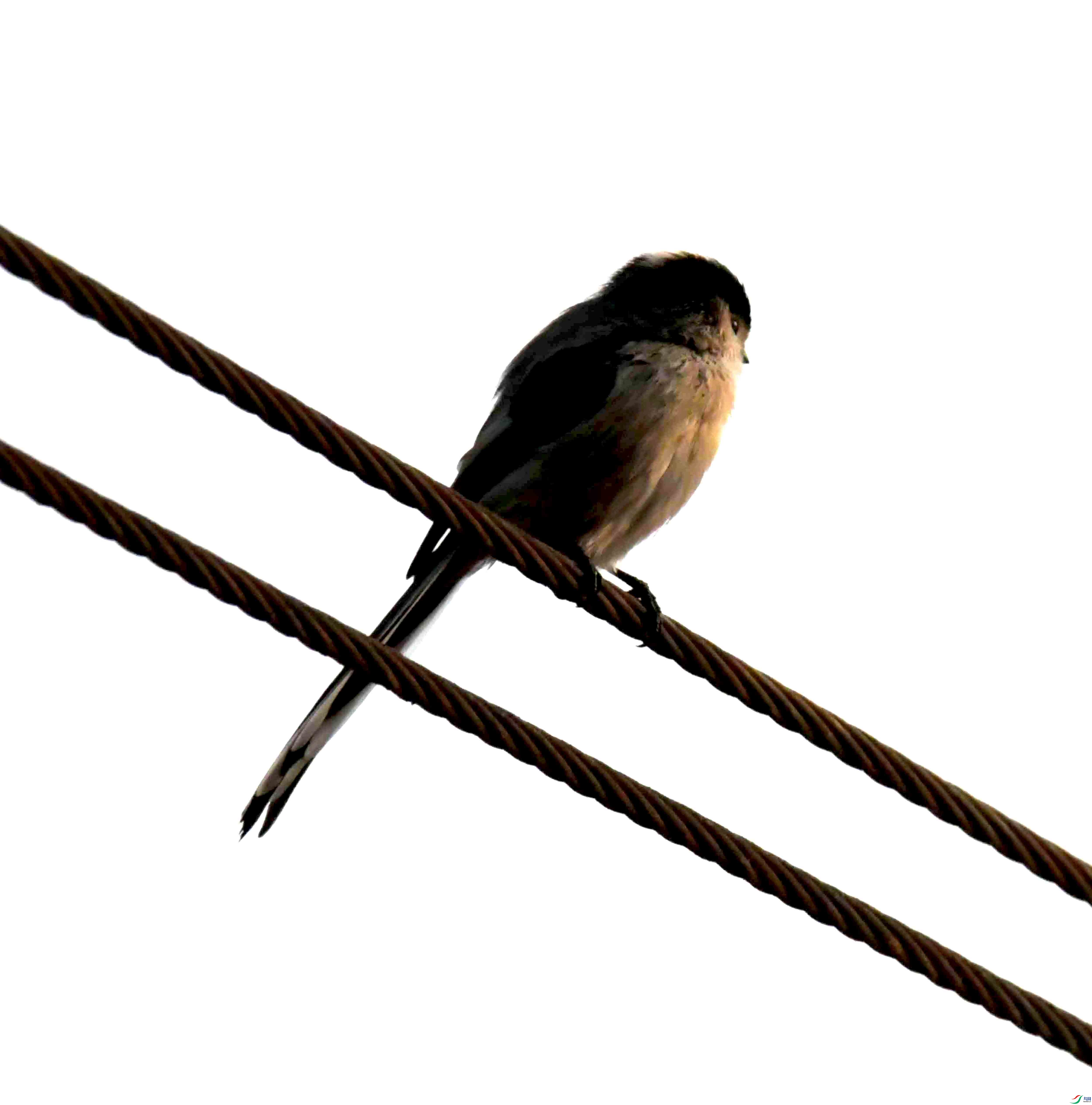 DSC_1865.JPG