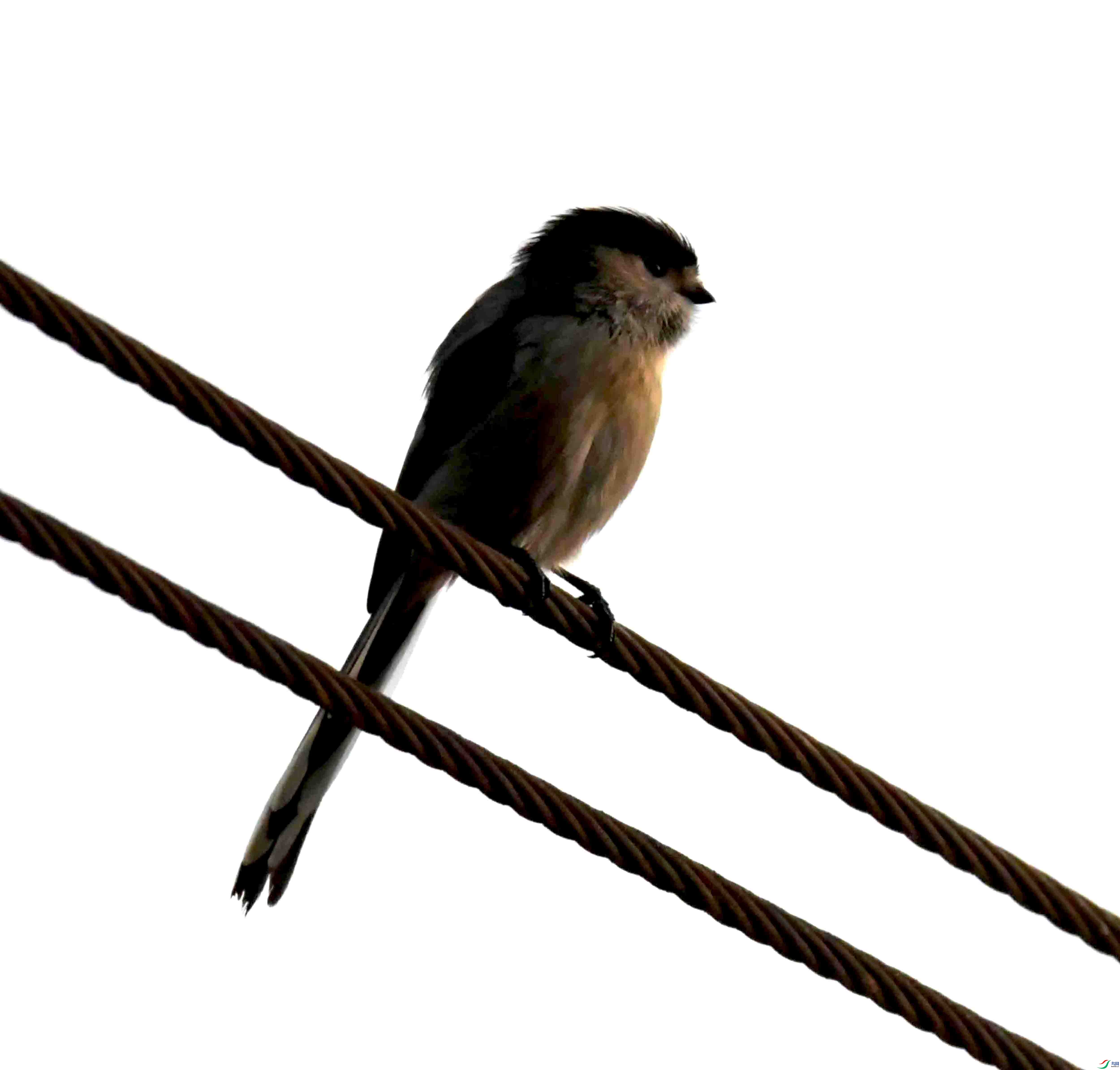DSC_1861.JPG