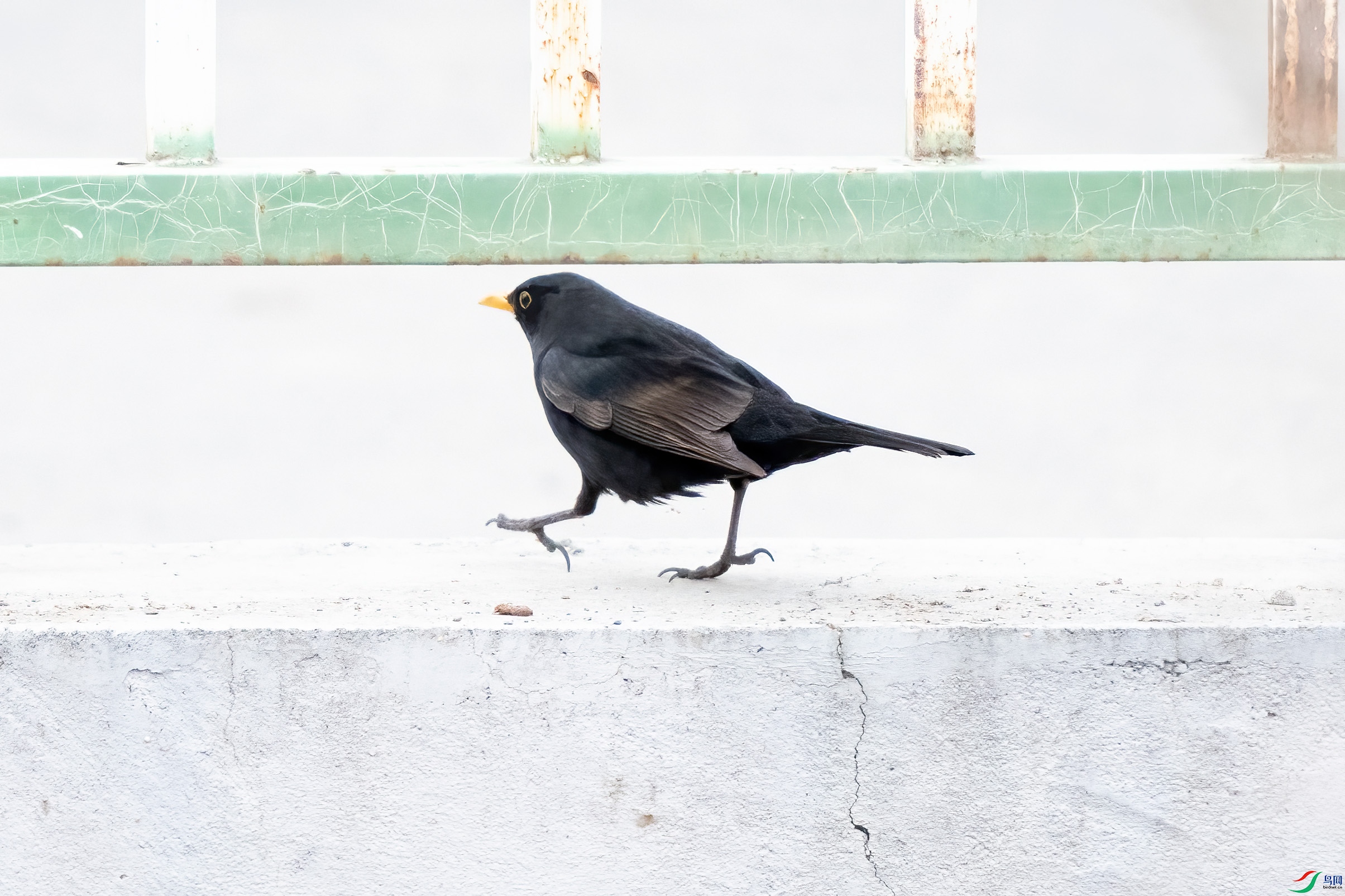DSC_6570.jpg
