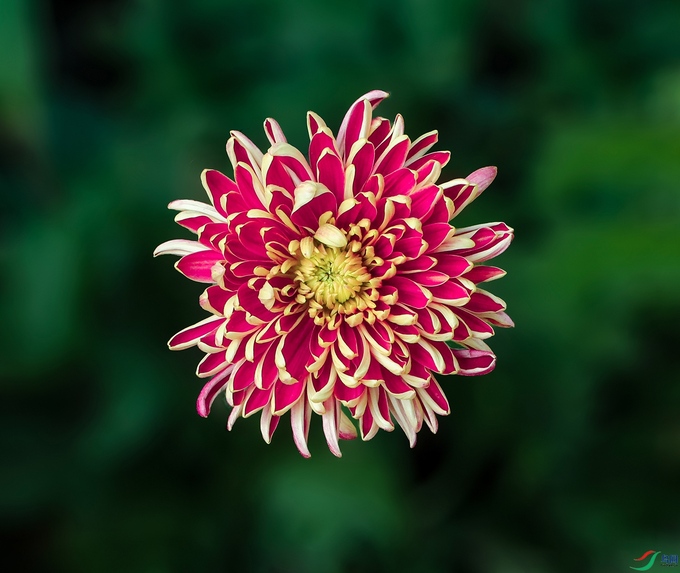 00000583A0278 ��ߺ�1000k.jpg