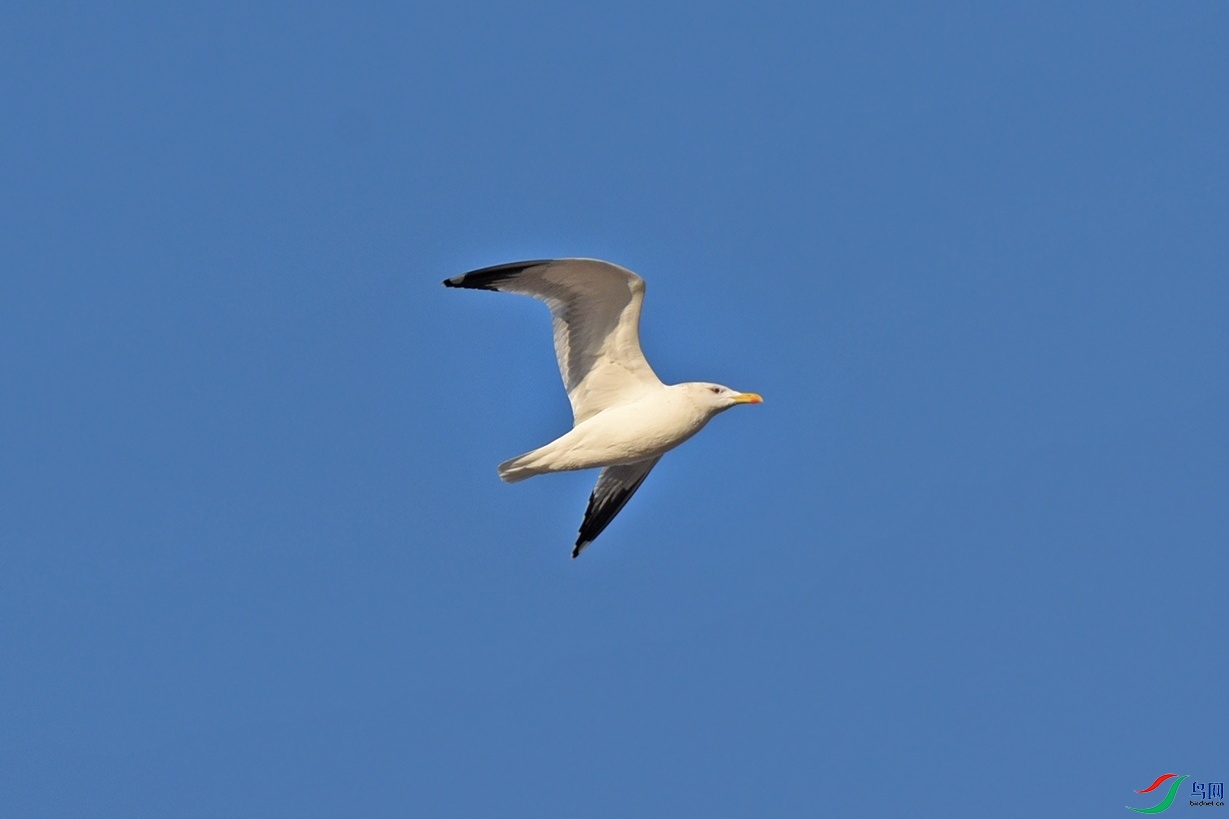 DSC_6191.jpg