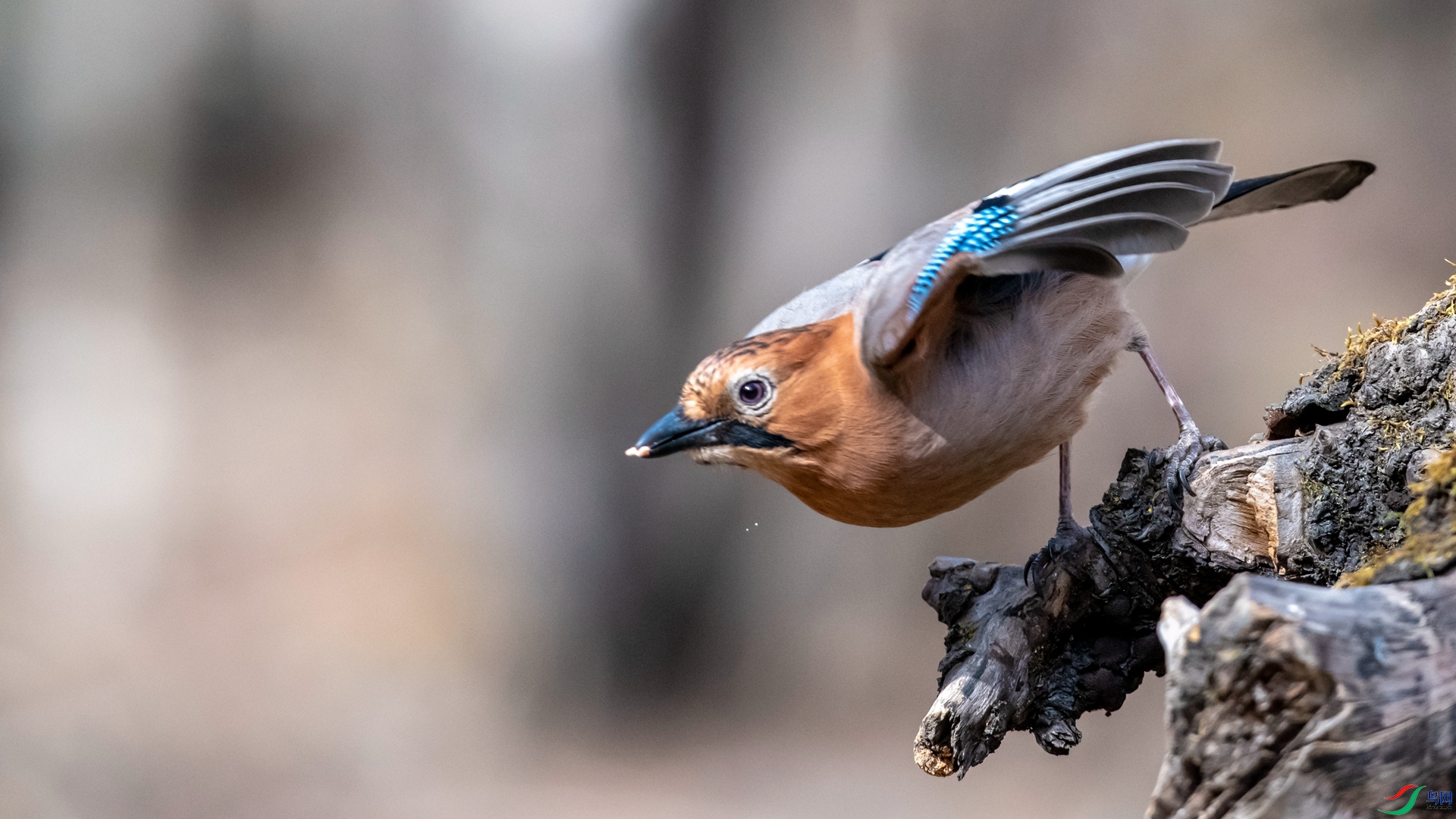 _DSC4255_����.jpg
