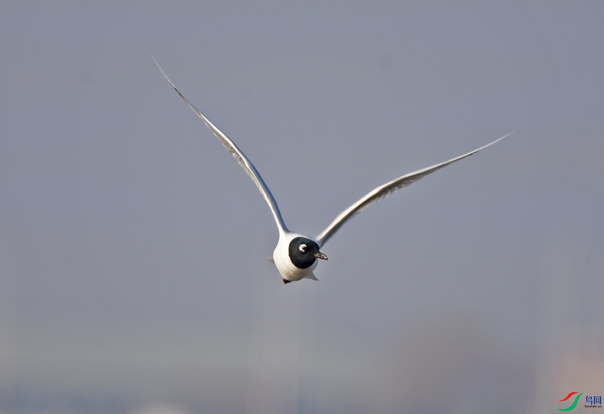 DSC_7697.jpg