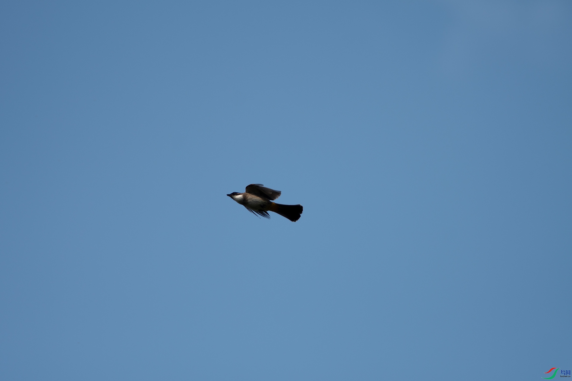 _DSC7304-15.jpg
