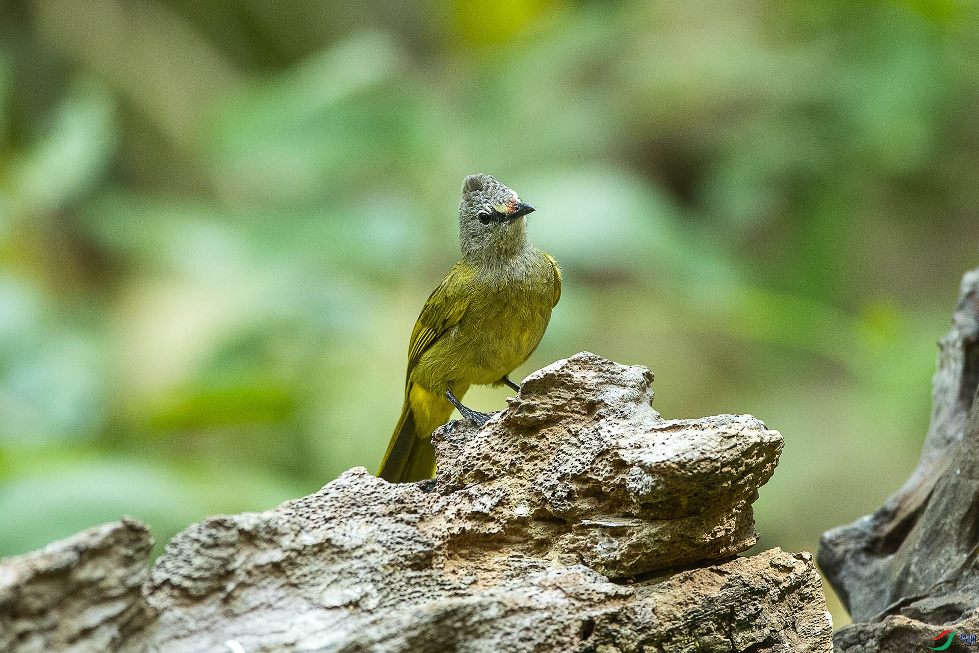 CD0I2415 ����.jpg