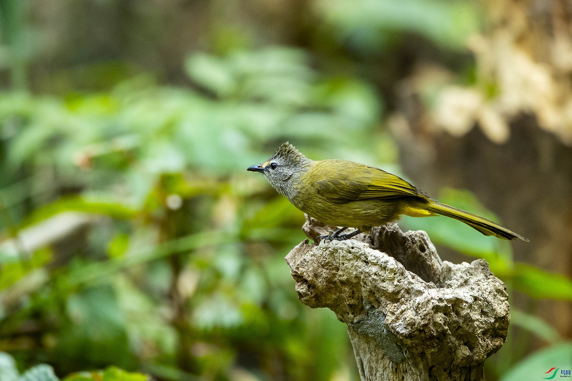 CD0I2406 ����.jpg