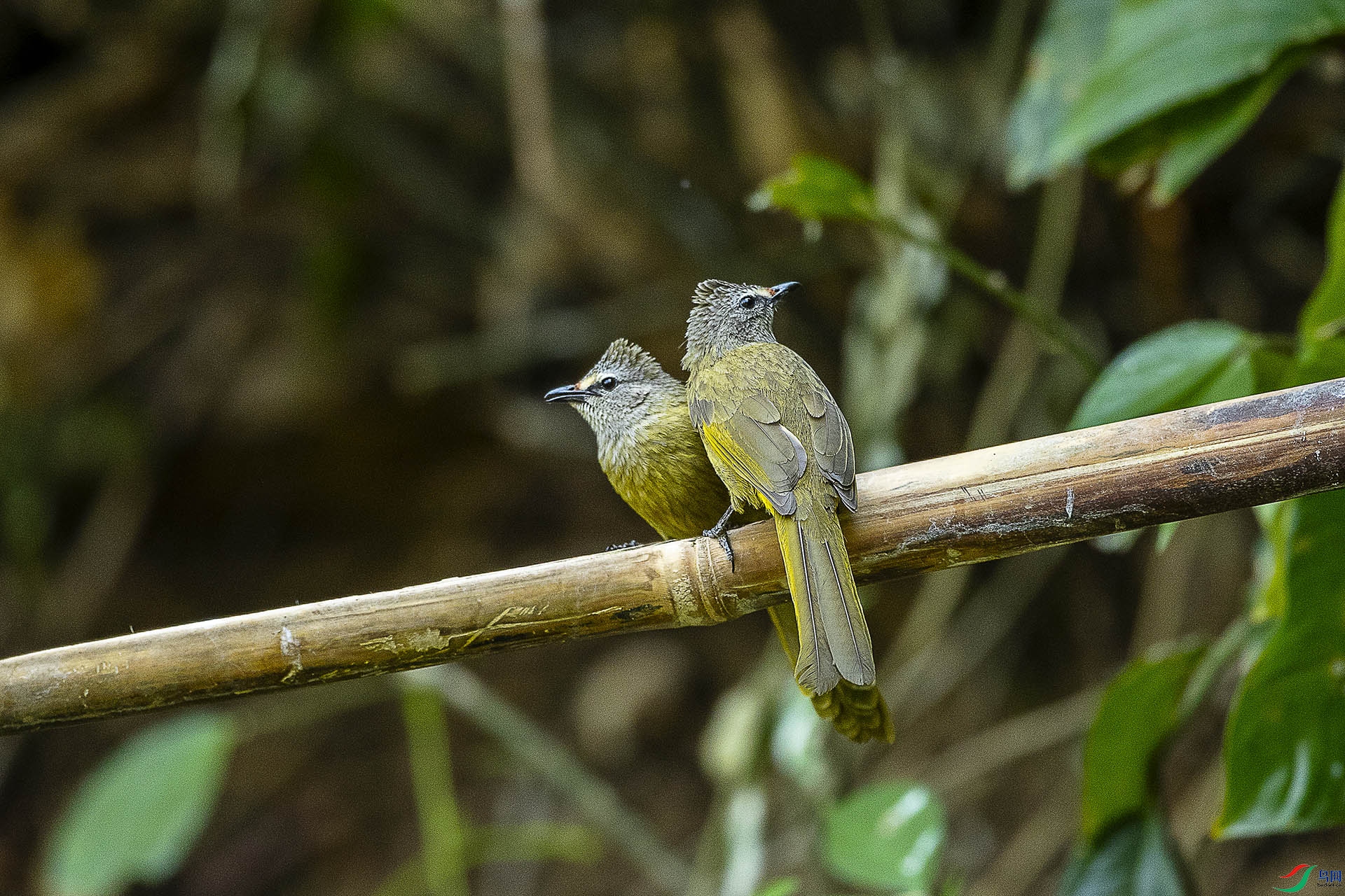 CD0I2797 ����.jpg