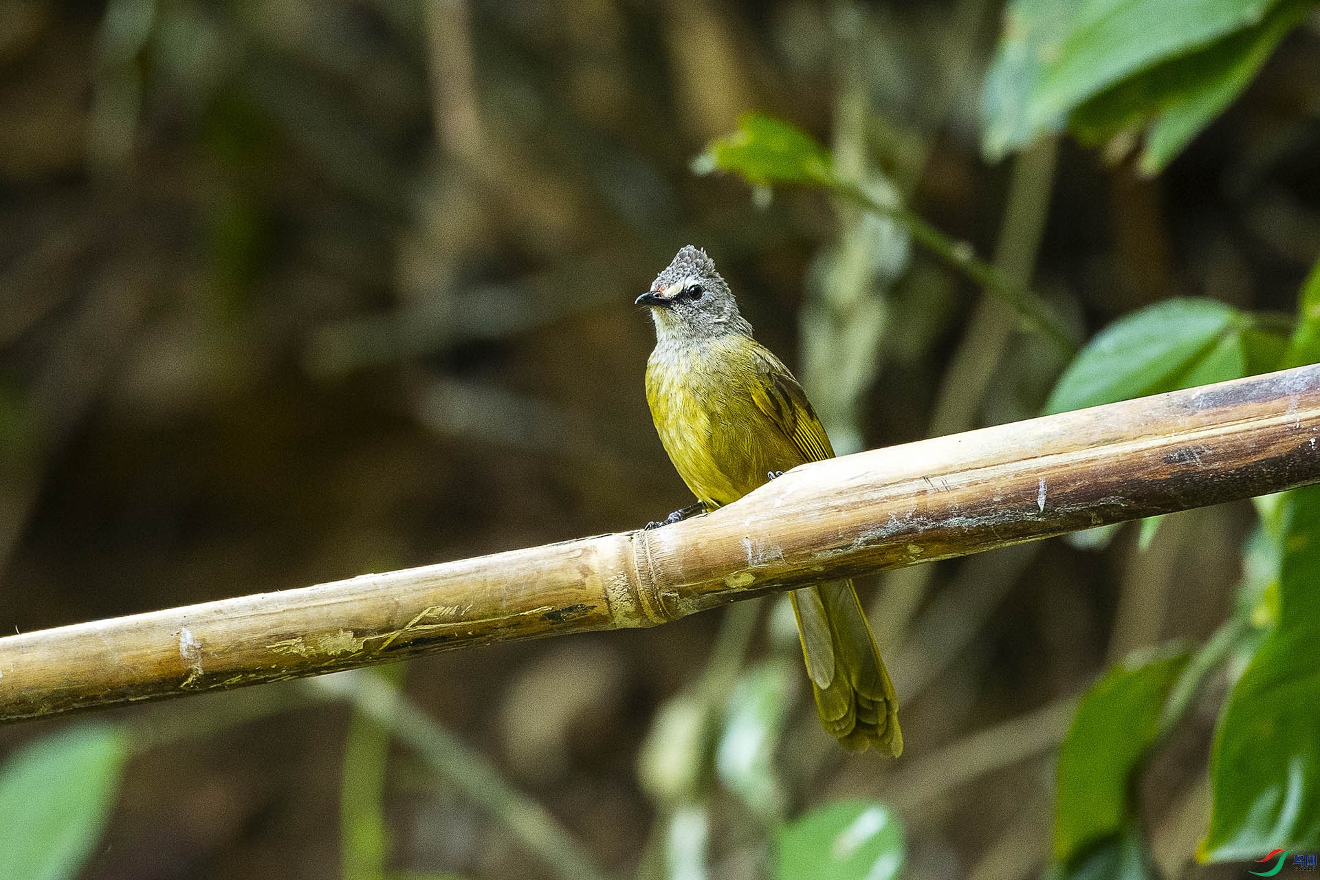 CD0I2784 ����.jpg