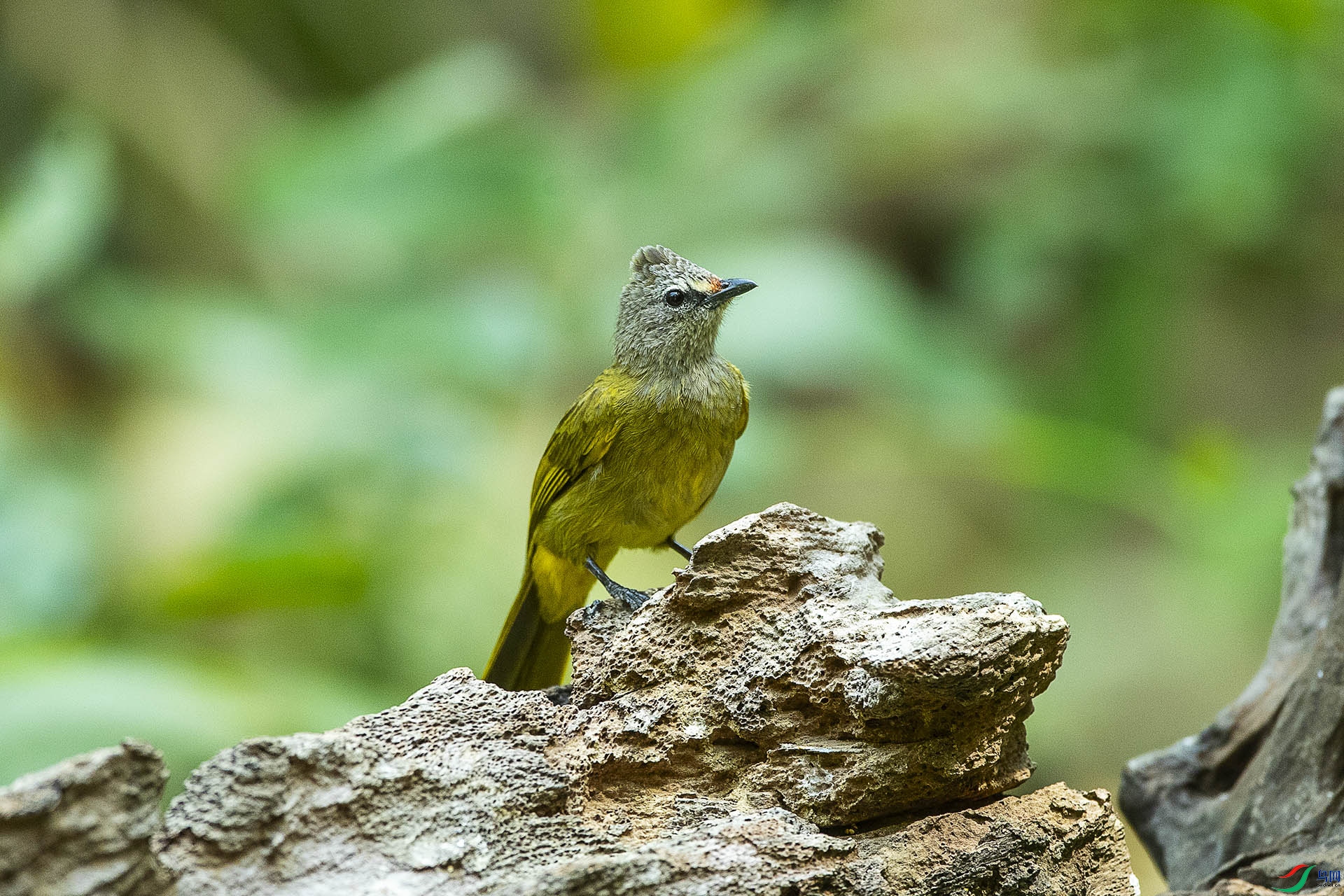 CD0I2418 ����.jpg