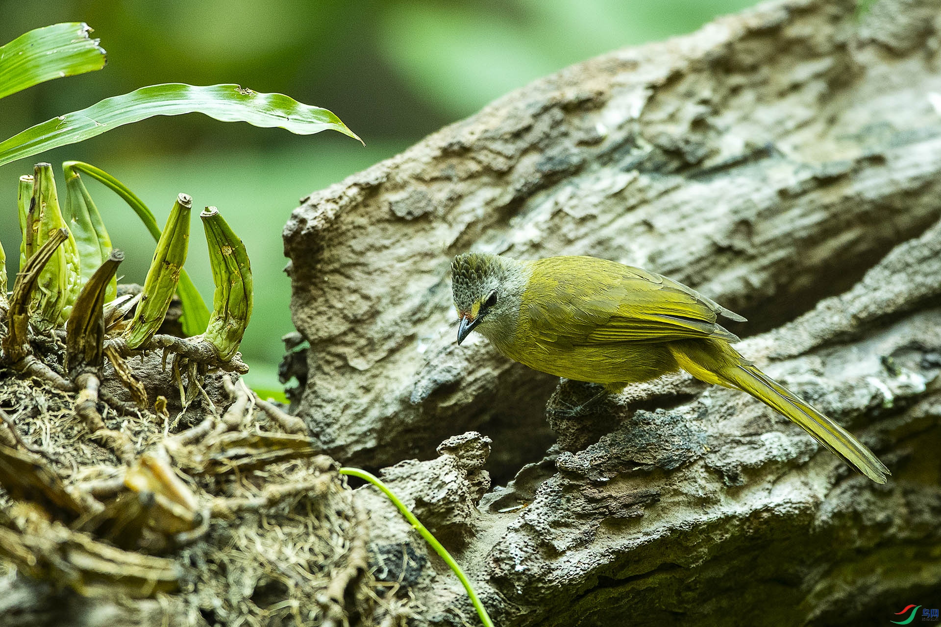 CD0I2412 ����.jpg