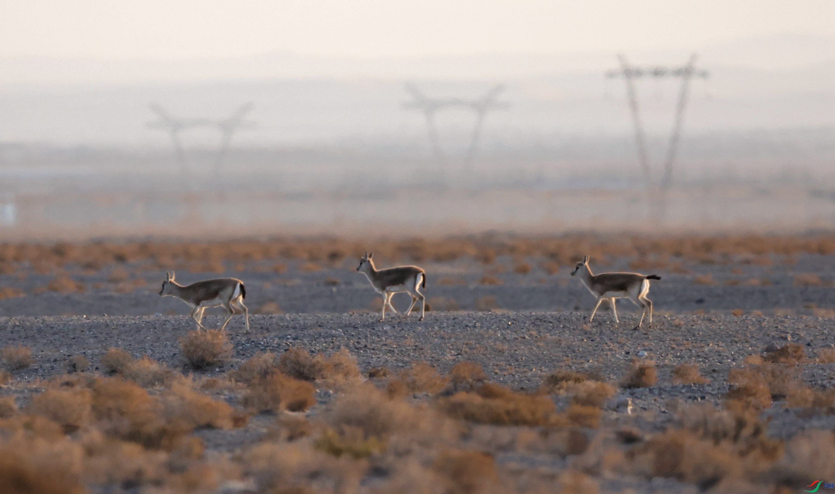 ����� - ����.JPG