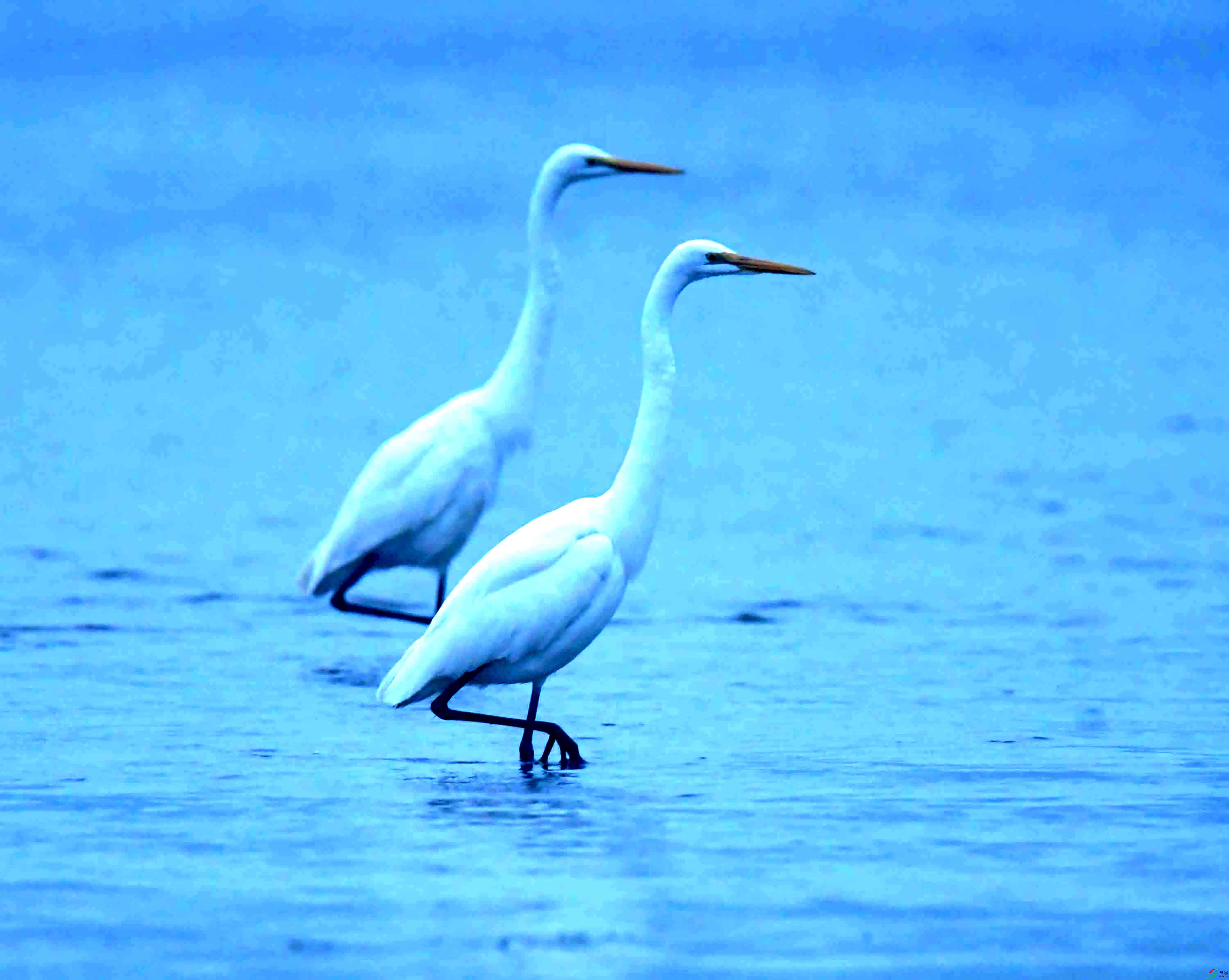 DSC_1719.JPG