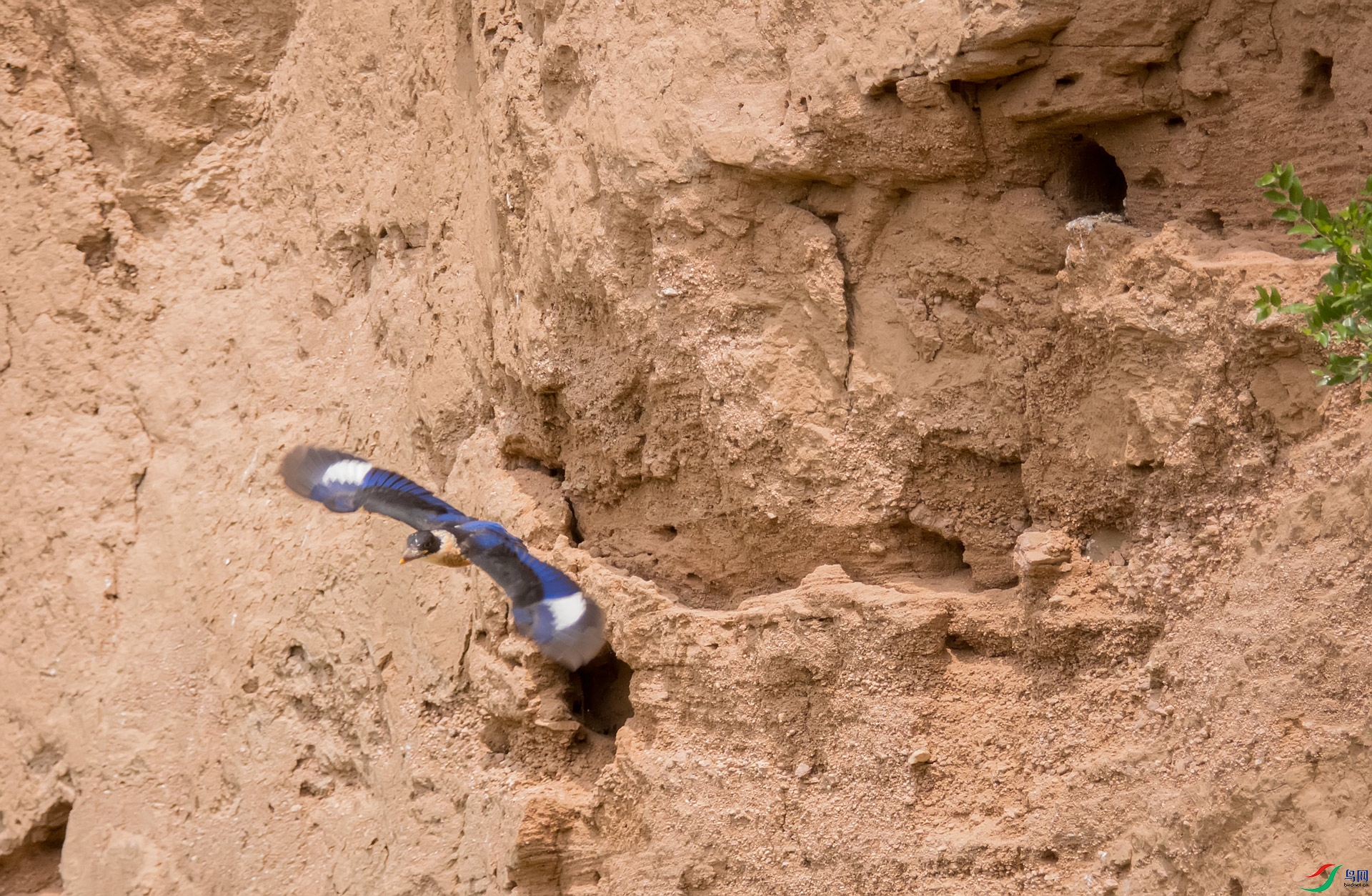 ����ֻС�����