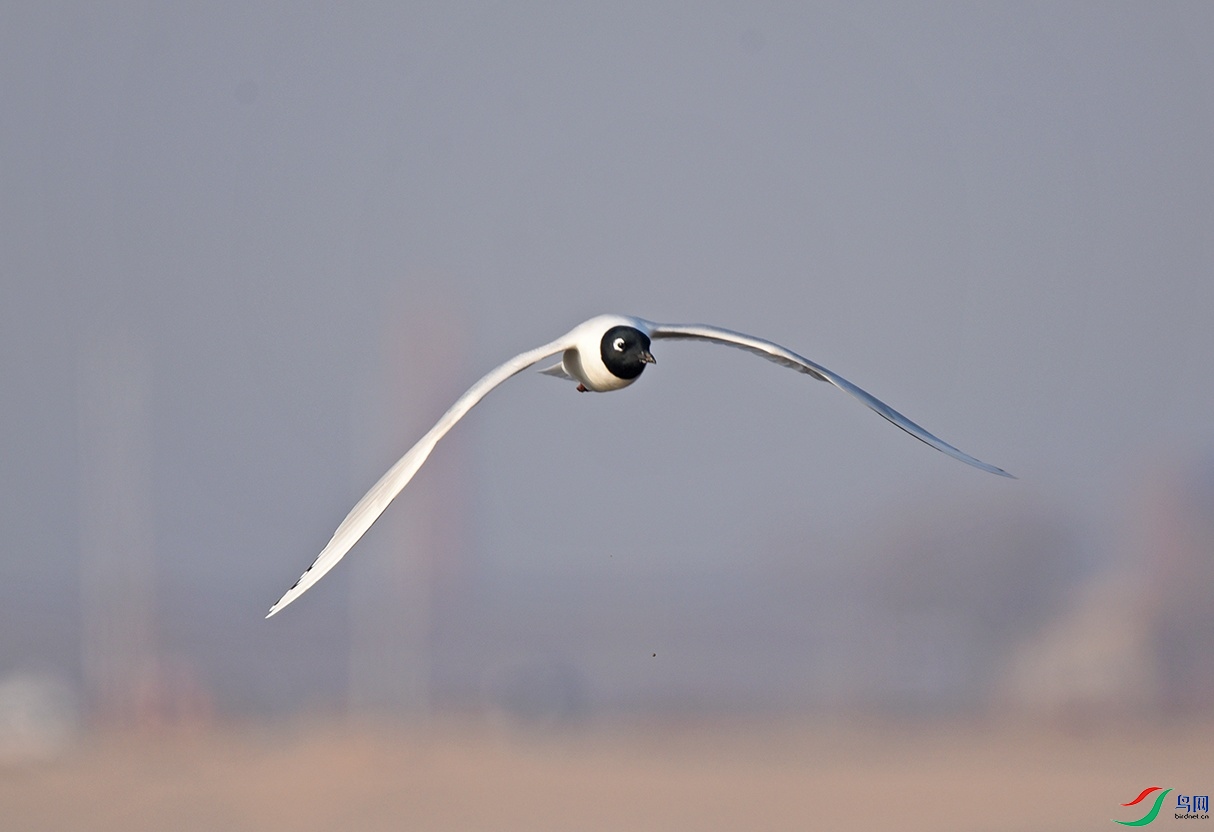 DSC_7698.jpg