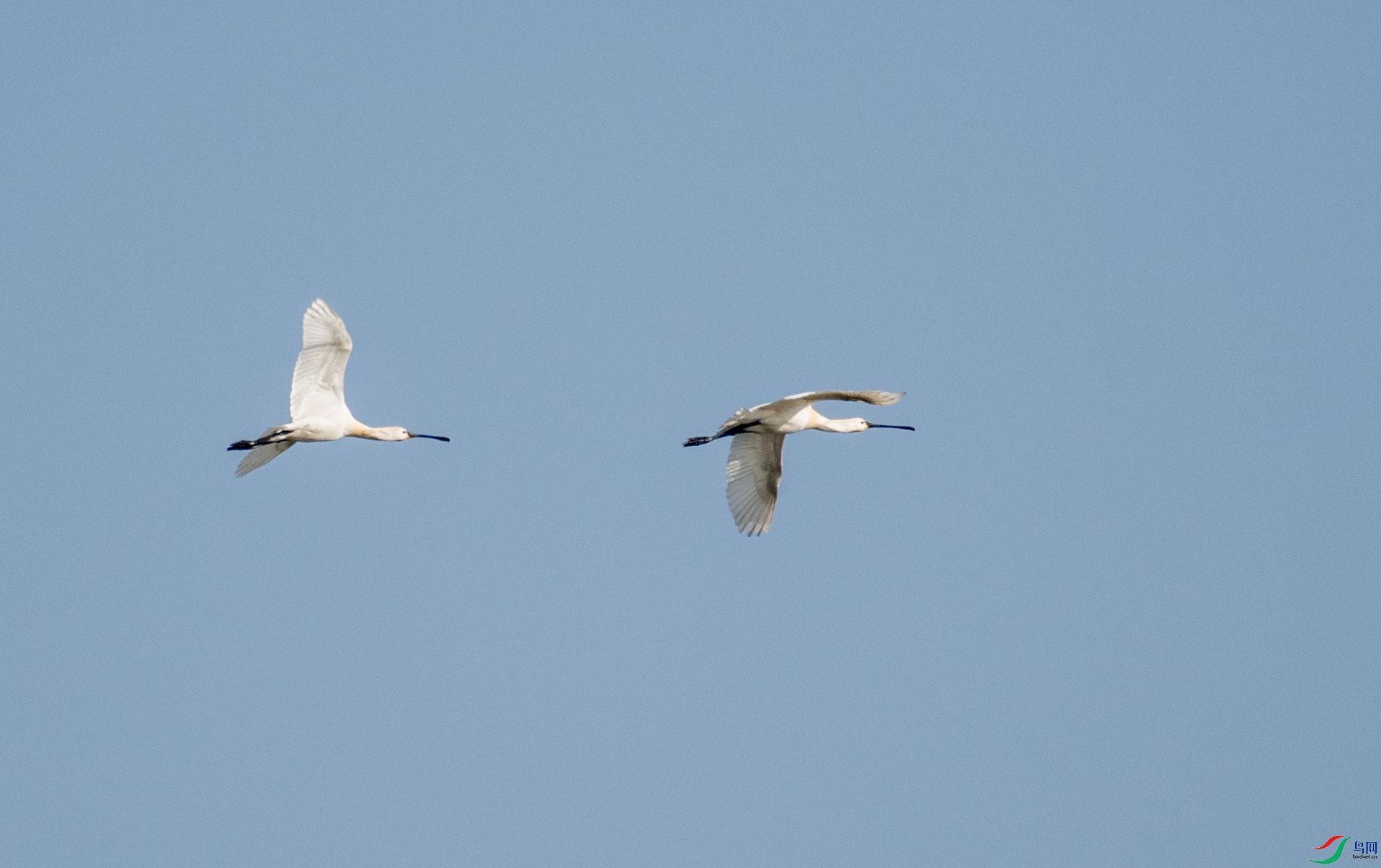DSC_0529.jpg