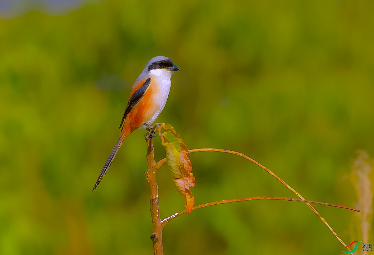 DSC_8670.JPG