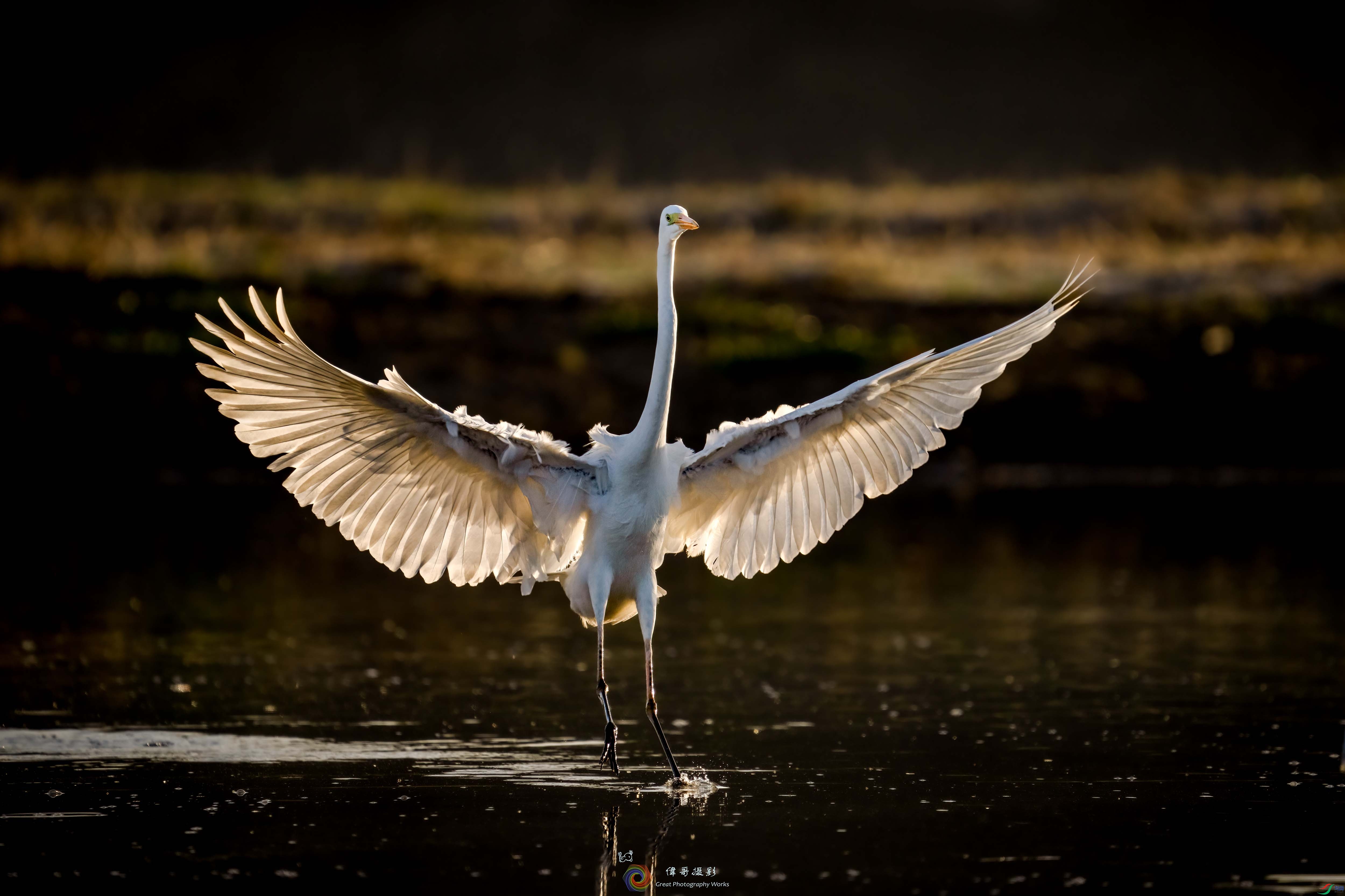 LZW04554 ����.jpg