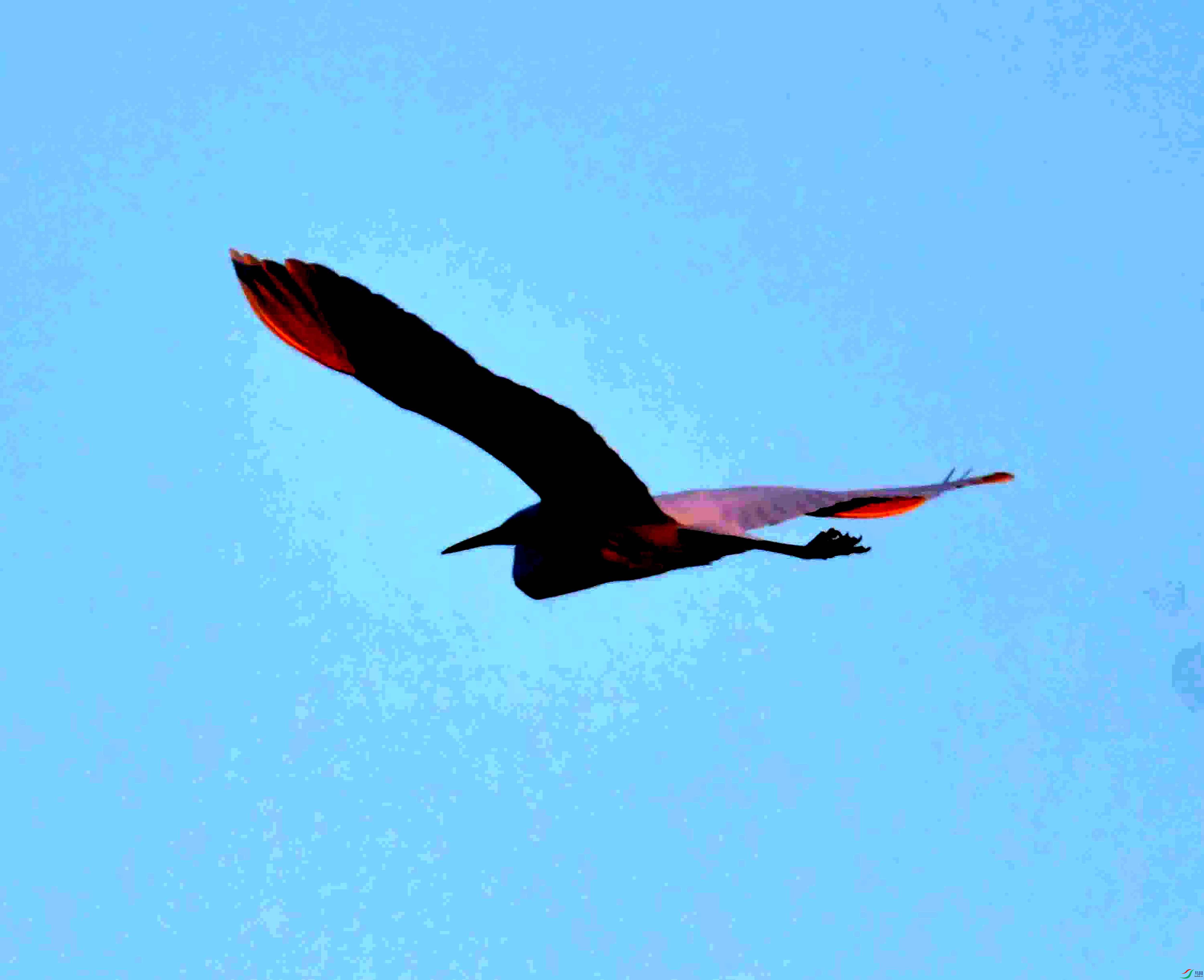DSC_1946.JPG