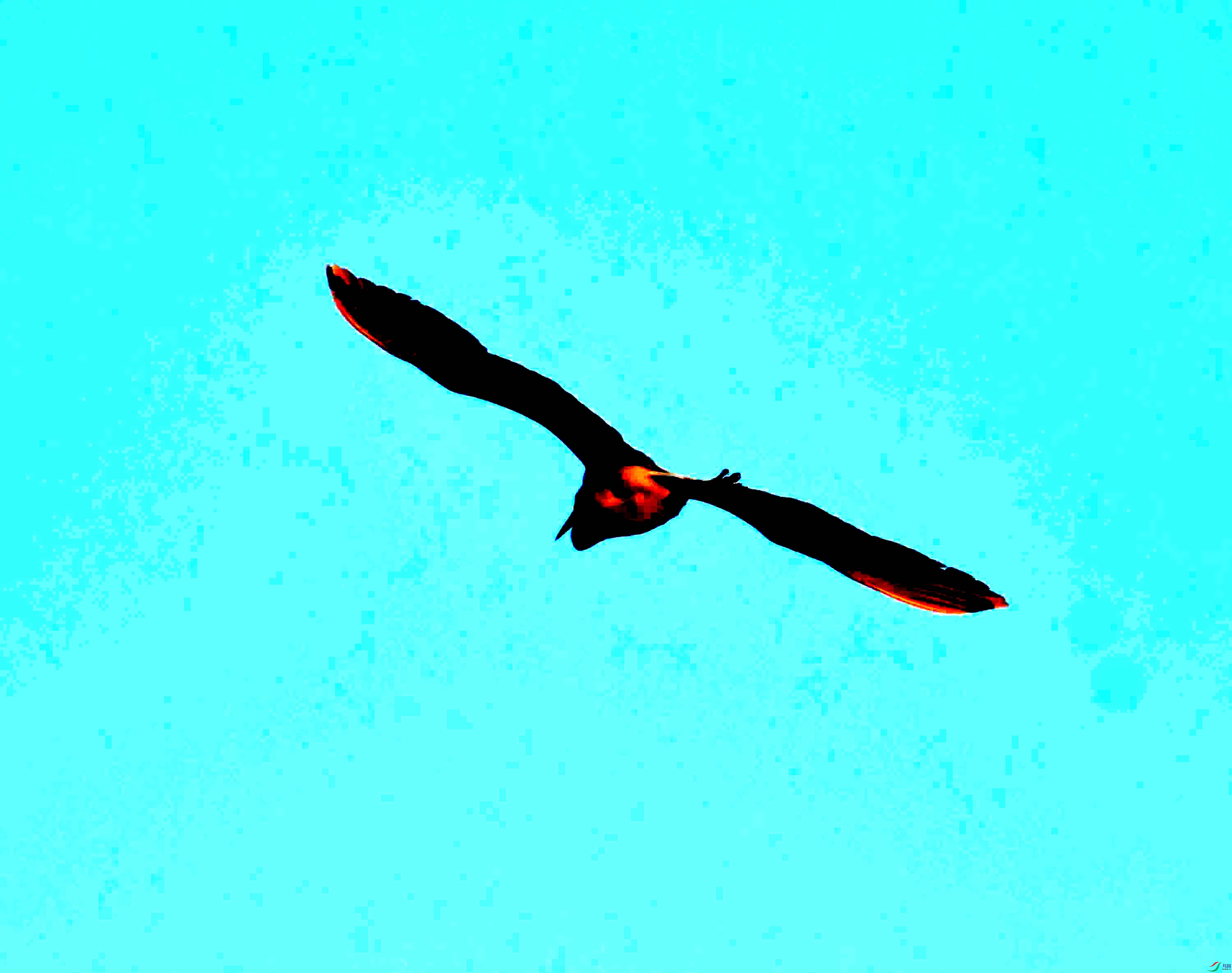 DSC_1964.JPG