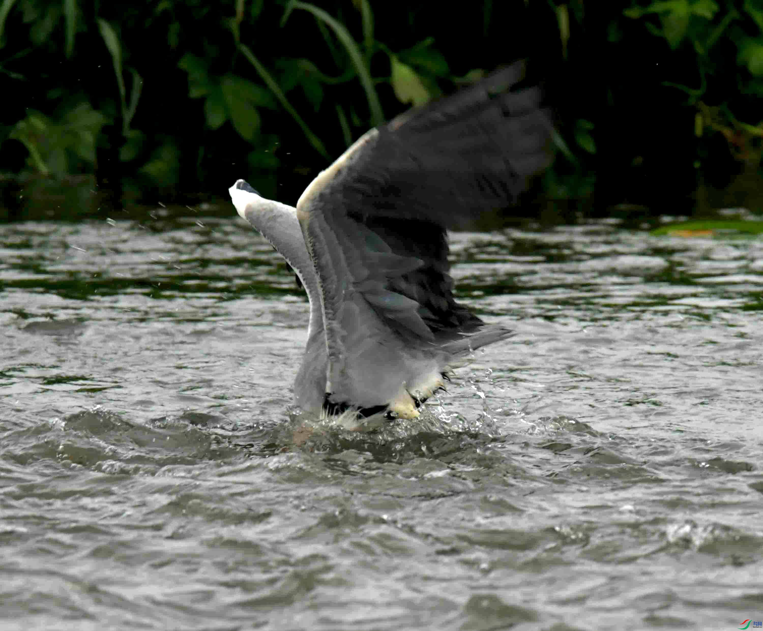 DSC_1349.JPG