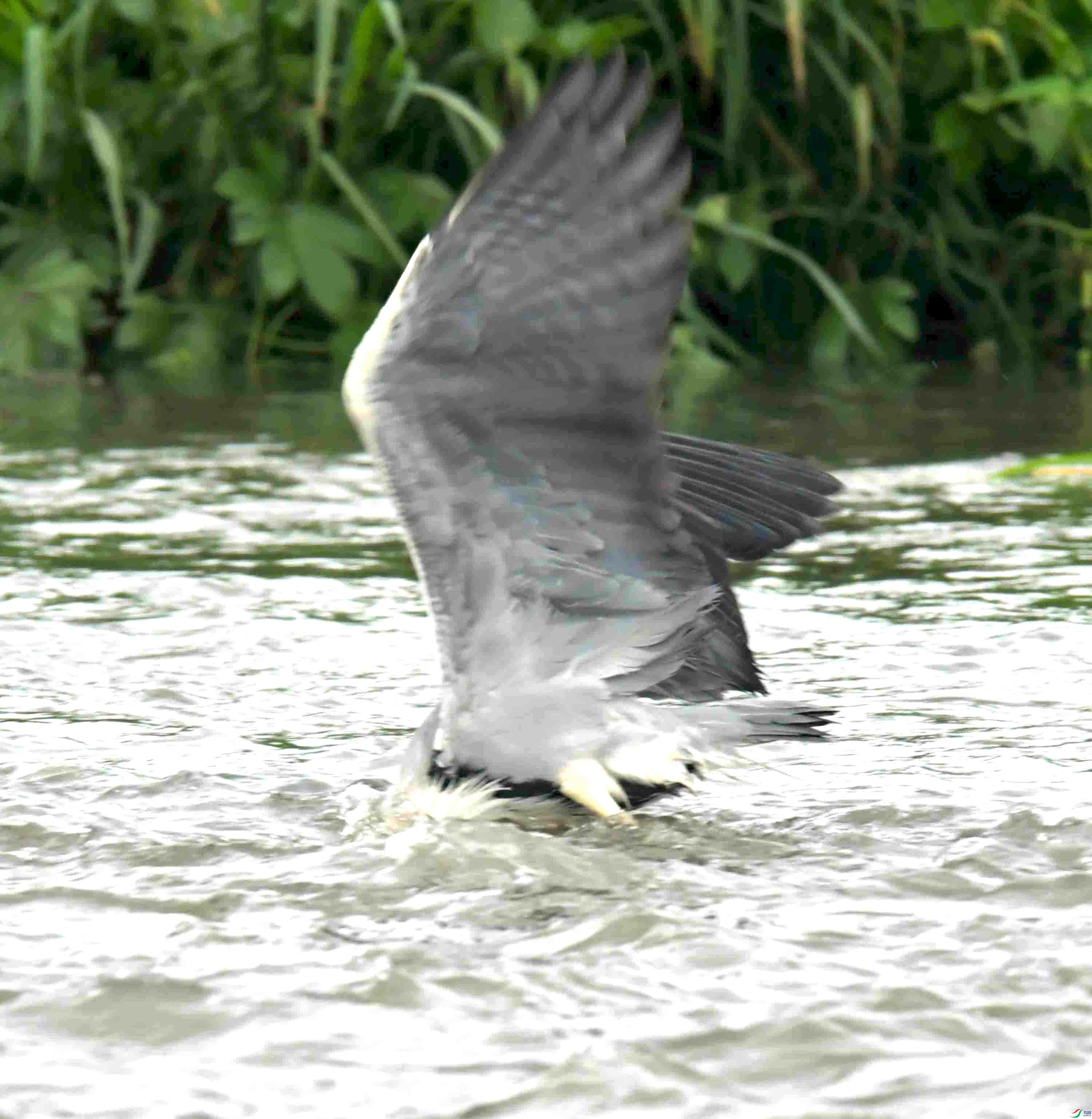 DSC_1352.JPG