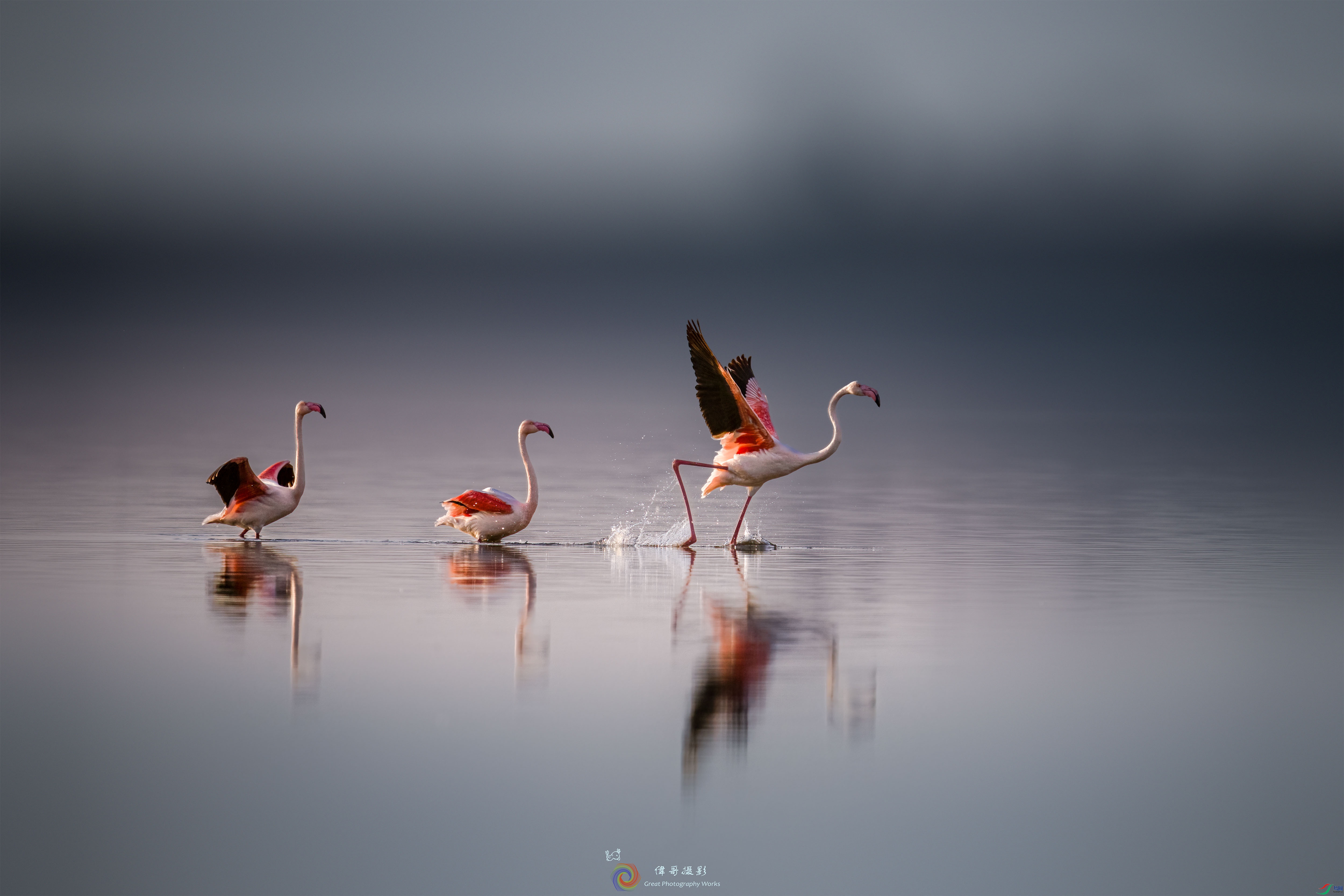 LZW07981 ����.jpg