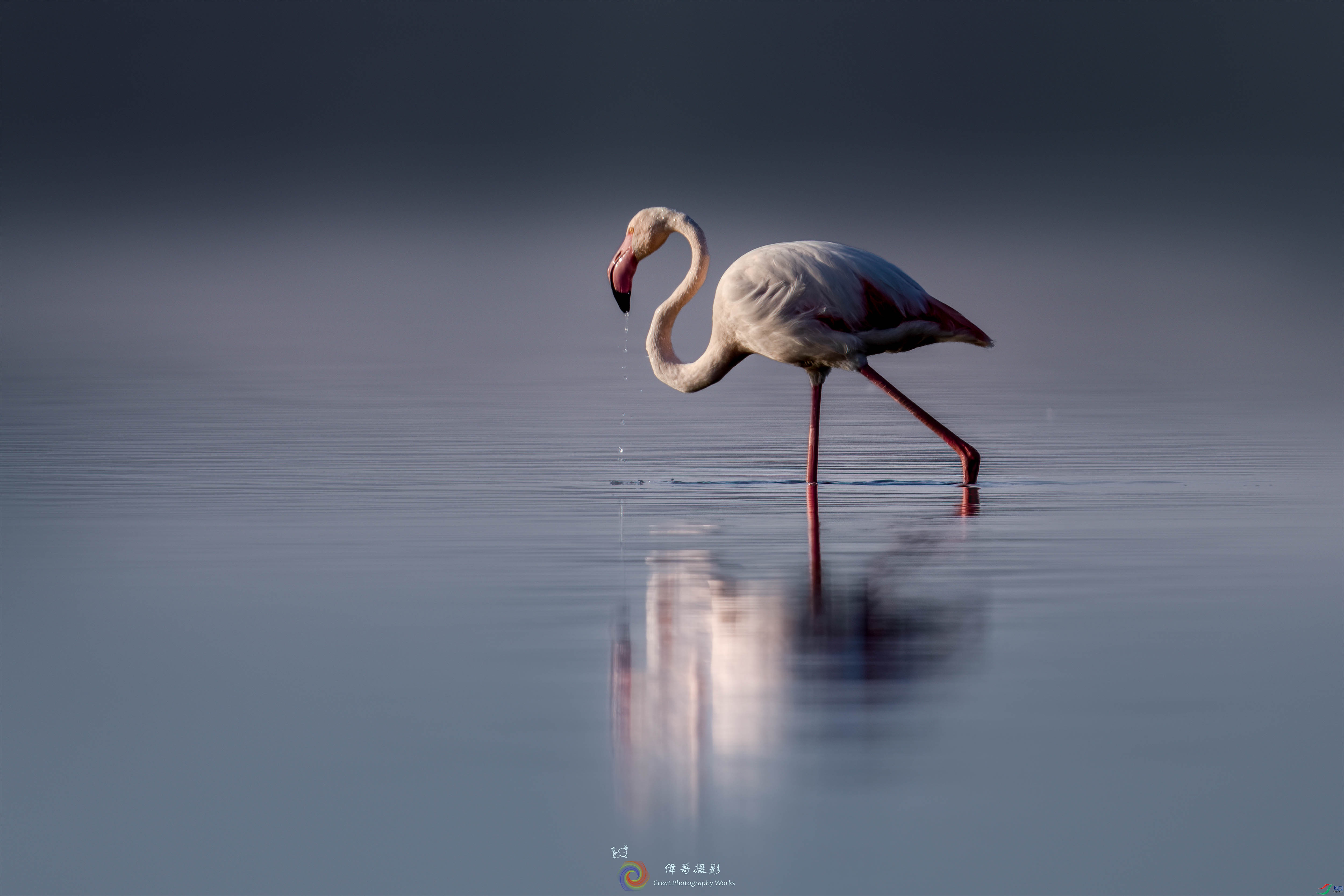 LZW07688 ����.jpg