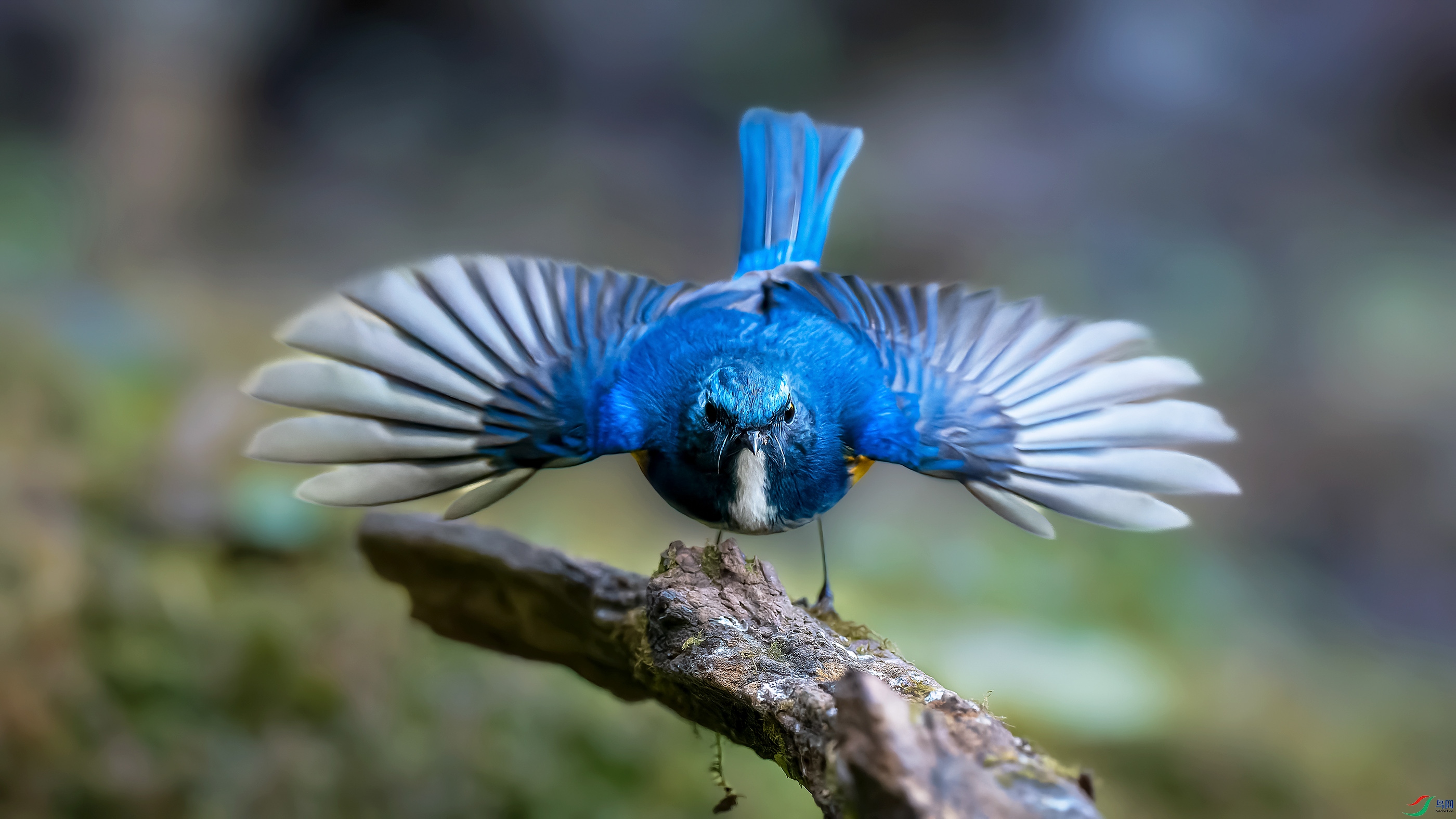 _2010732-ORF_DxO_DeepPRIME ���� 2.jpg