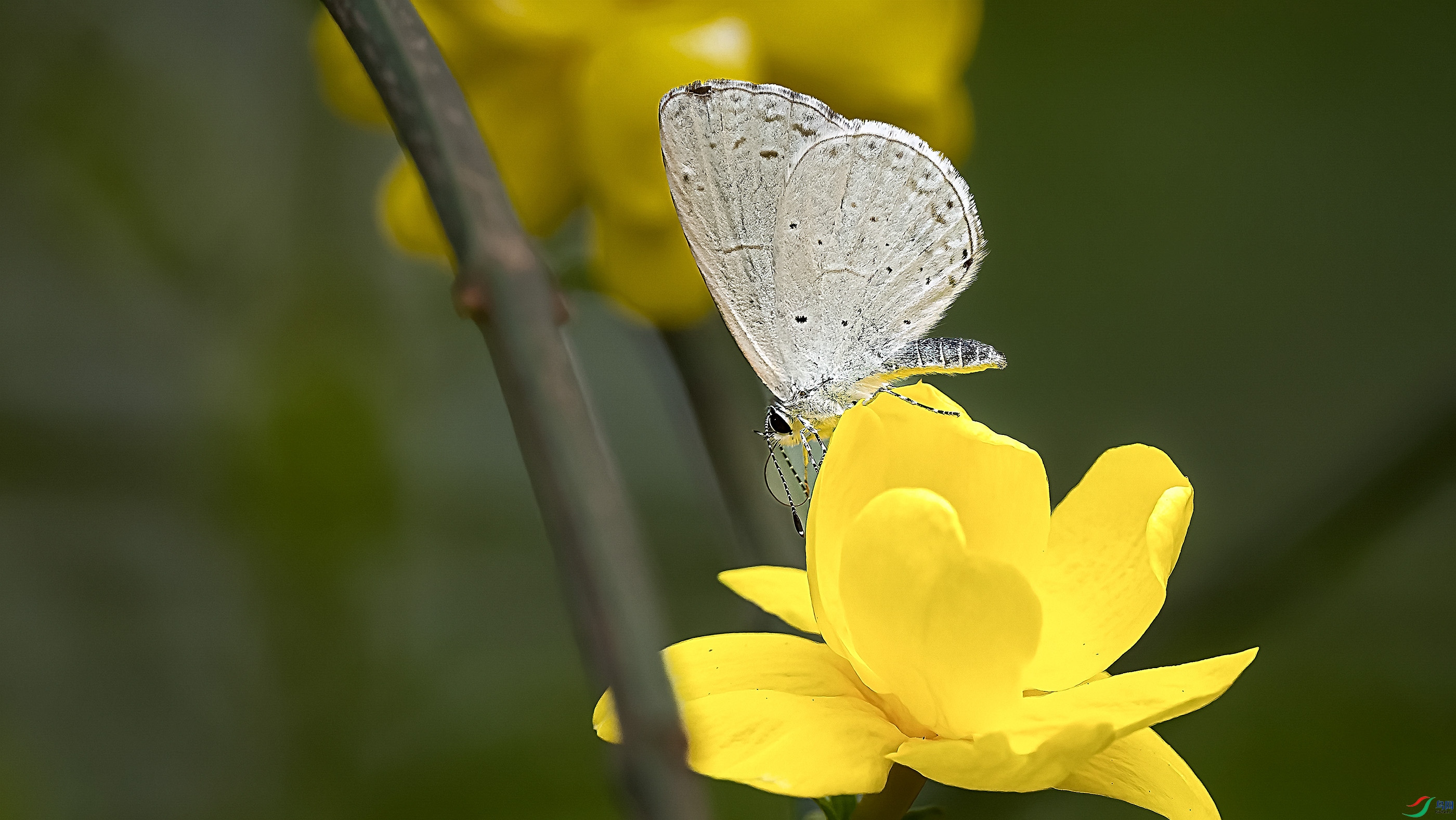 _3150066-ORF_DxO_HQ ���� 2.jpg