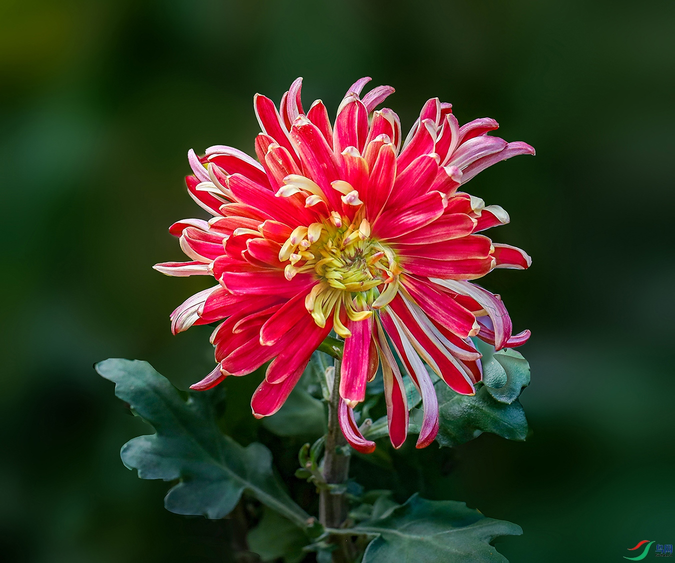 00000583A0285 һƷ��1000k.jpg