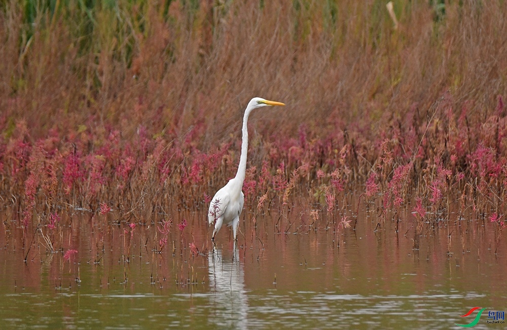 DSC_7486.jpg