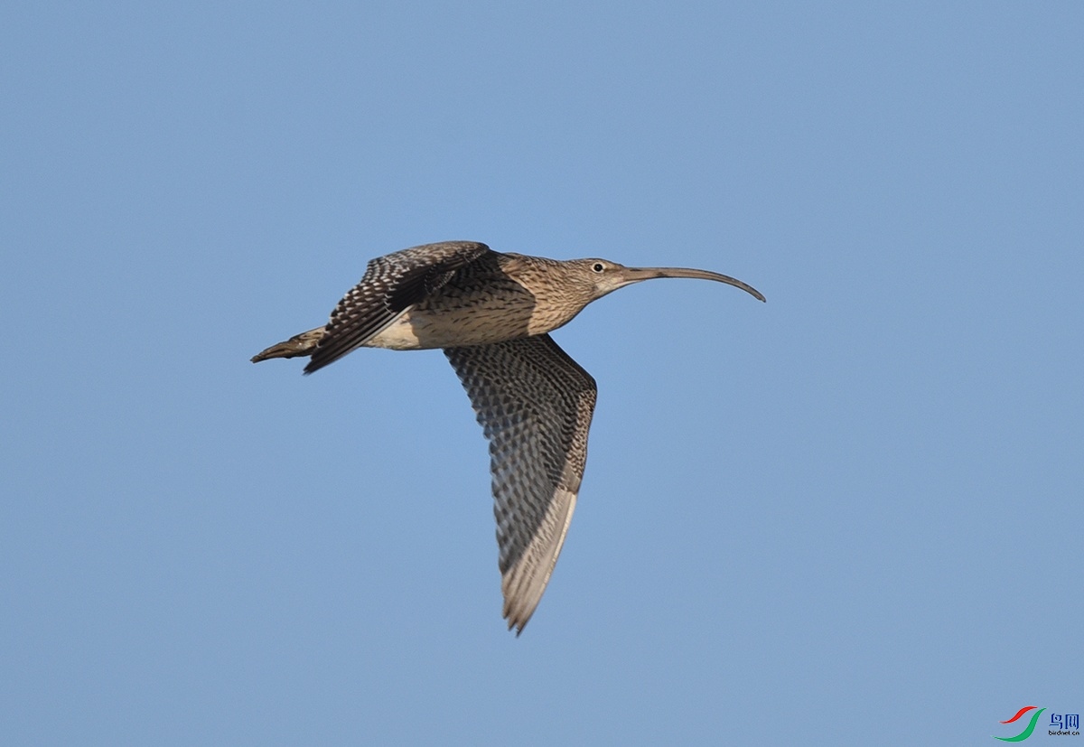 DSC_6053.jpg