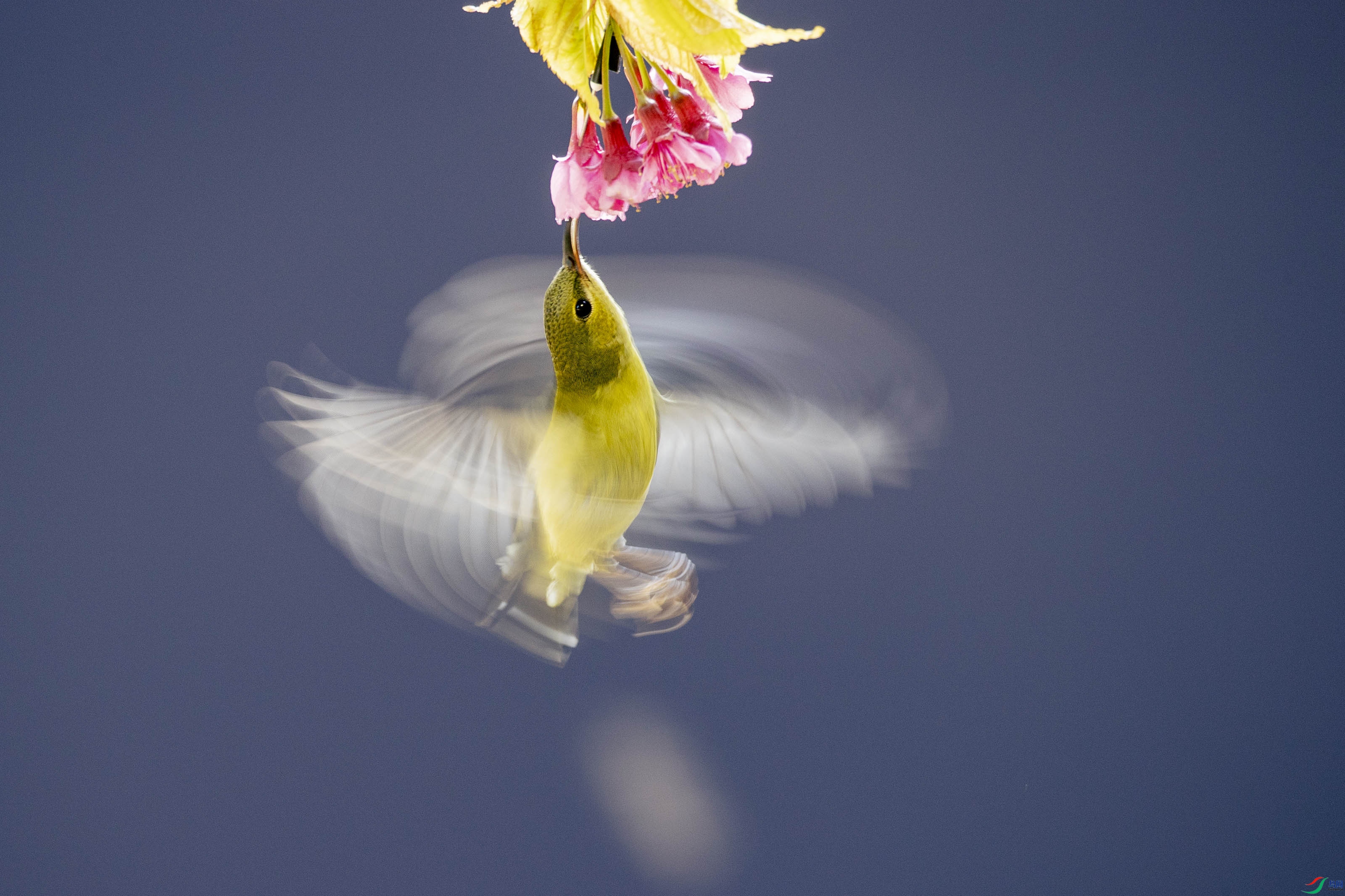 AB8I2906 ����.jpg