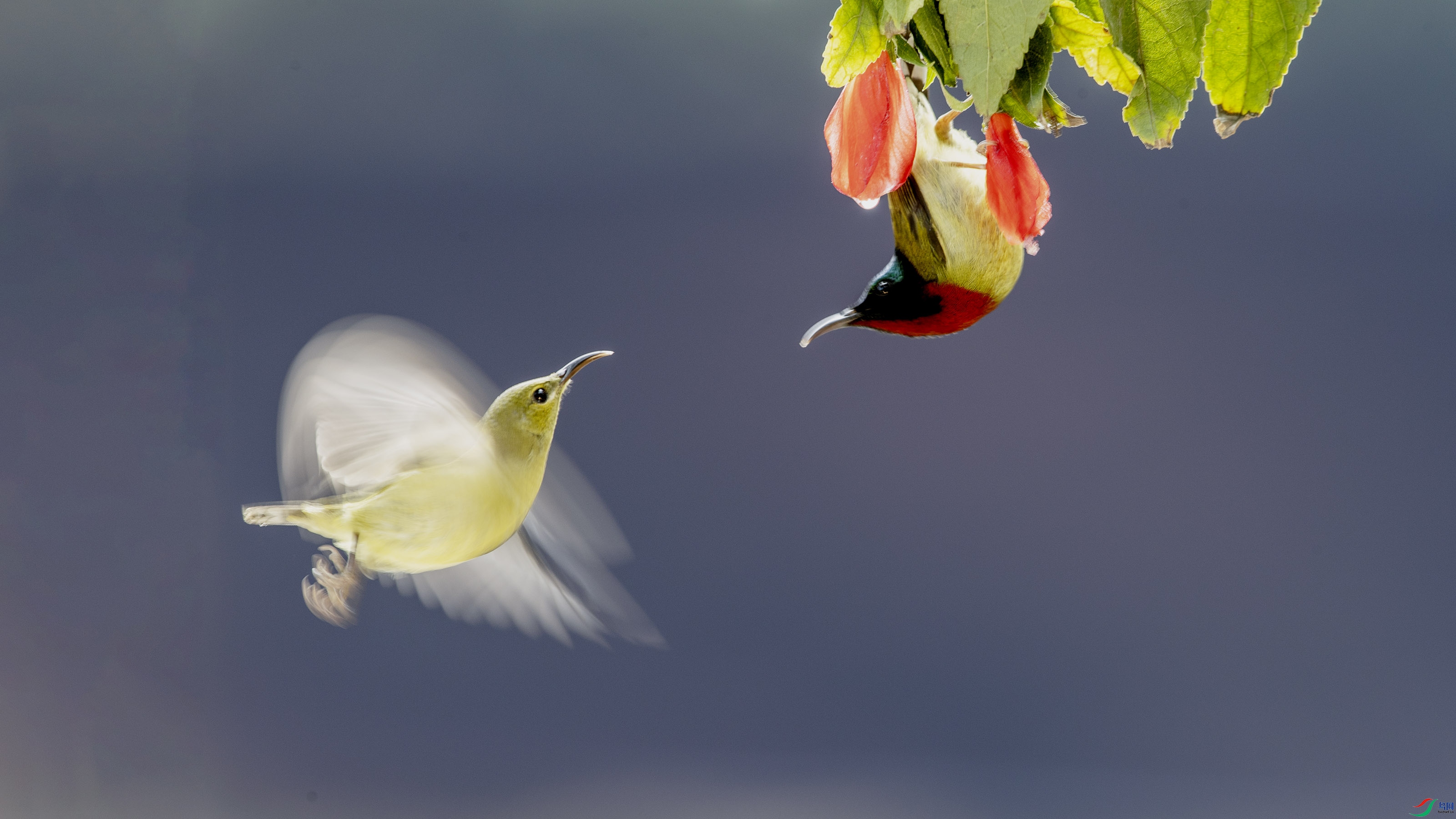 AB8I2742 ����.jpg