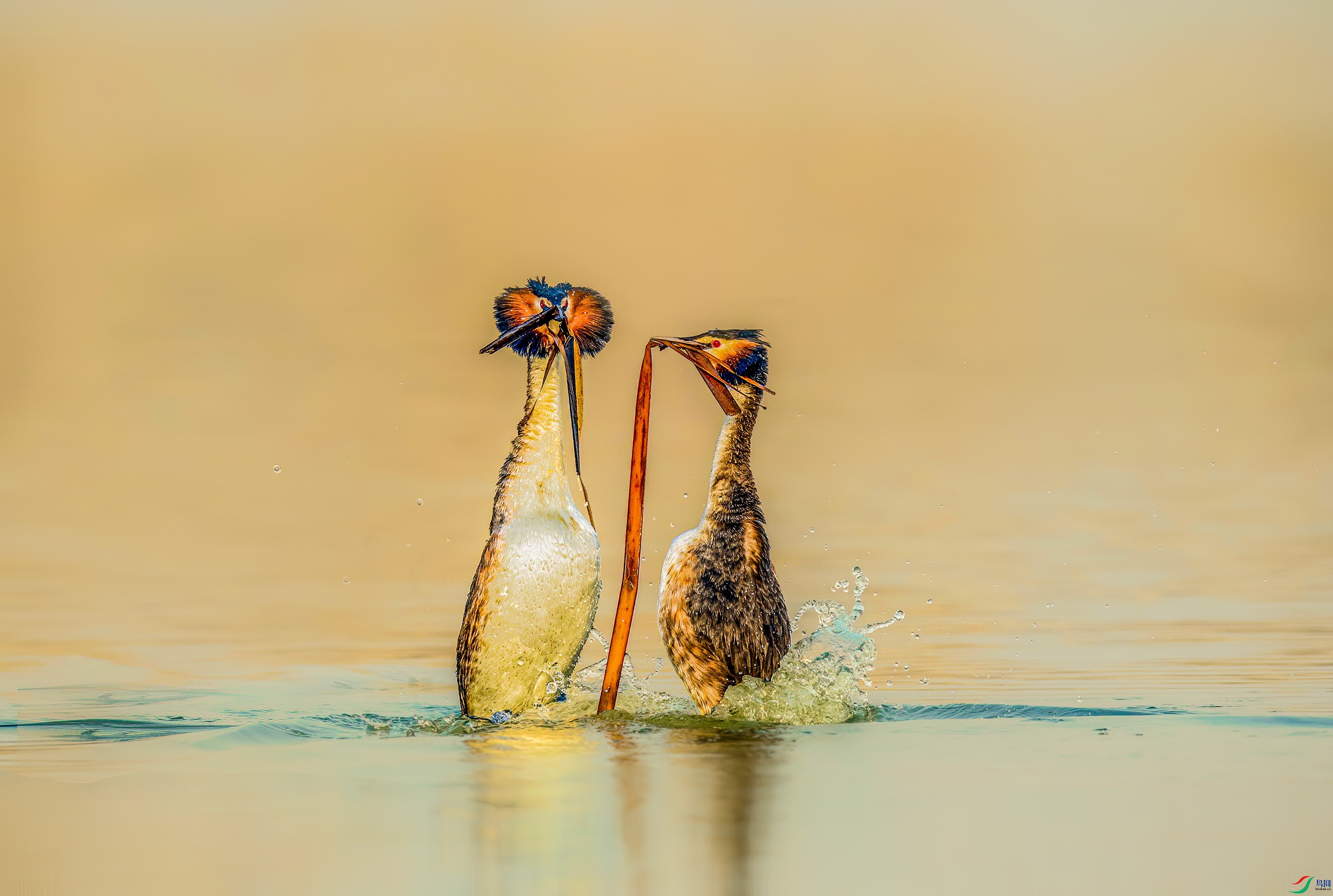 _JLN6174 ����OK.jpg