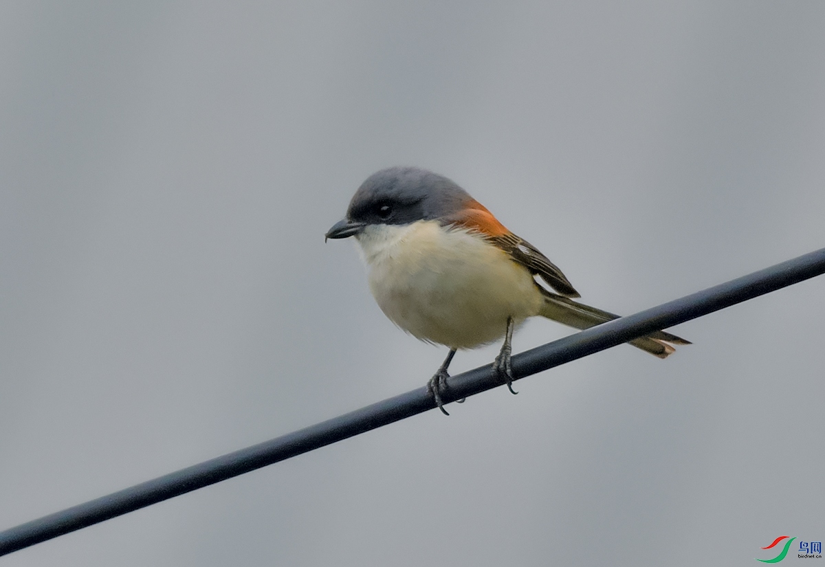 DSC_9660.JPG