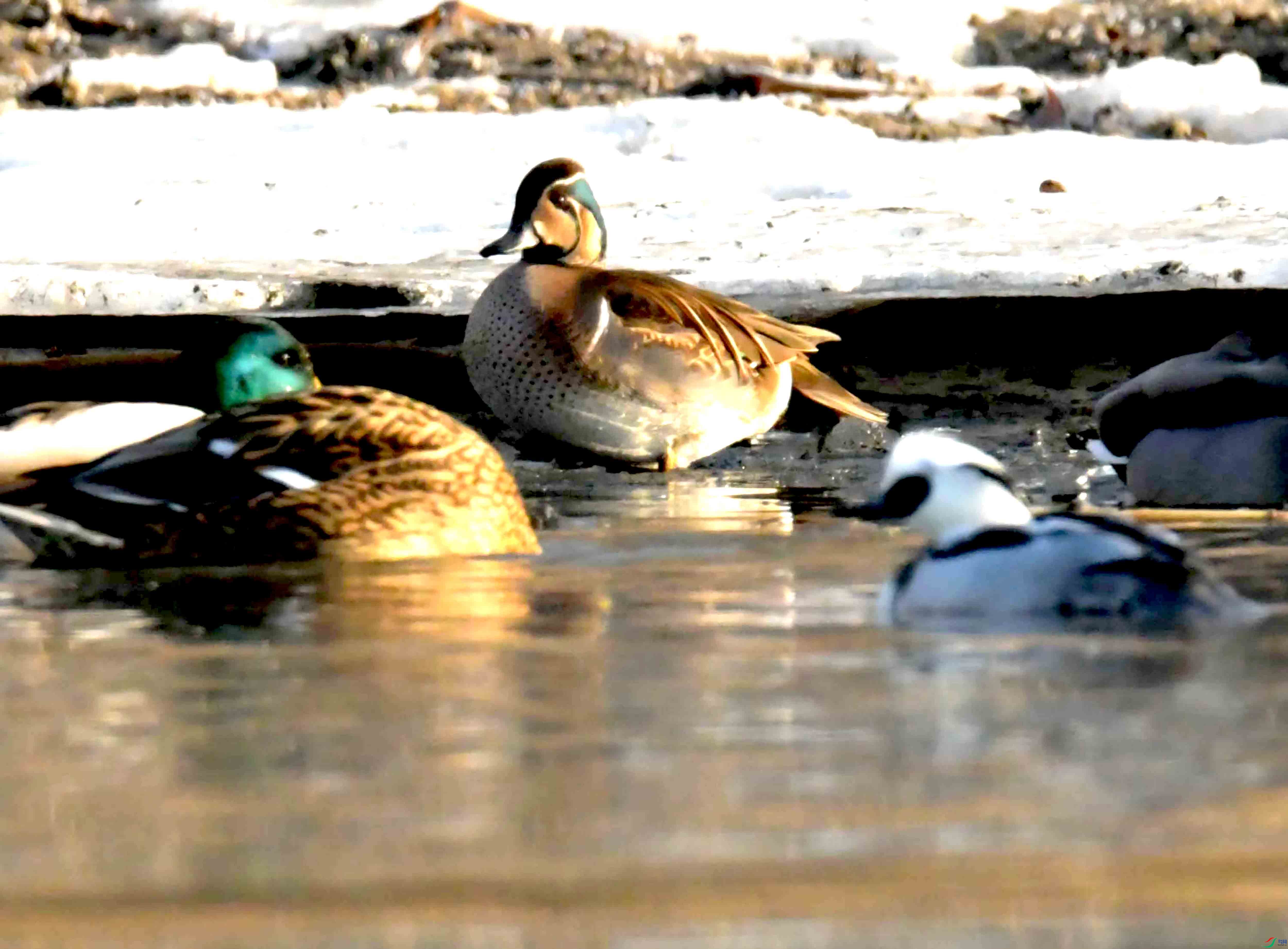 DSC_5845.JPG