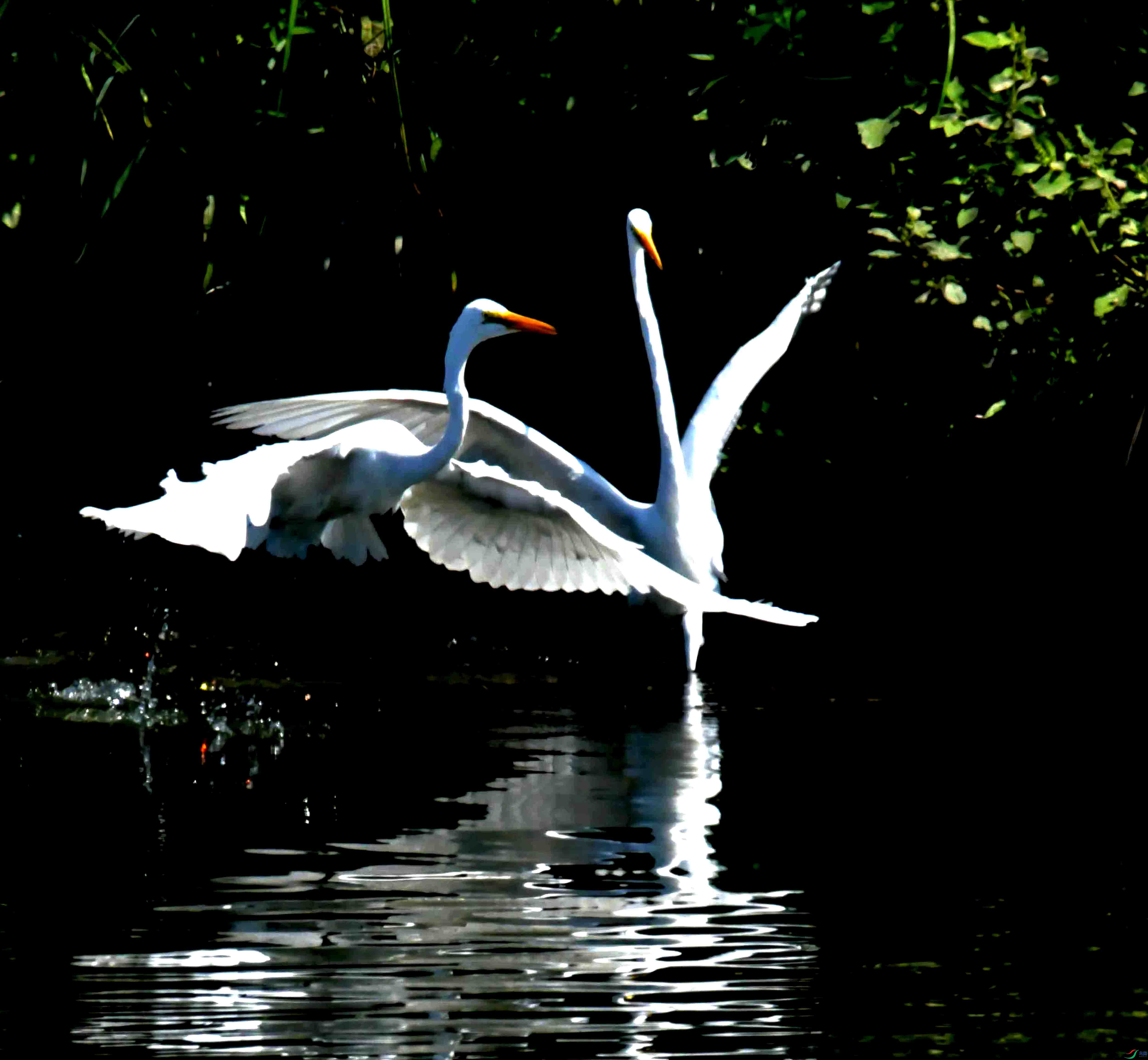 DSC_1751.JPG