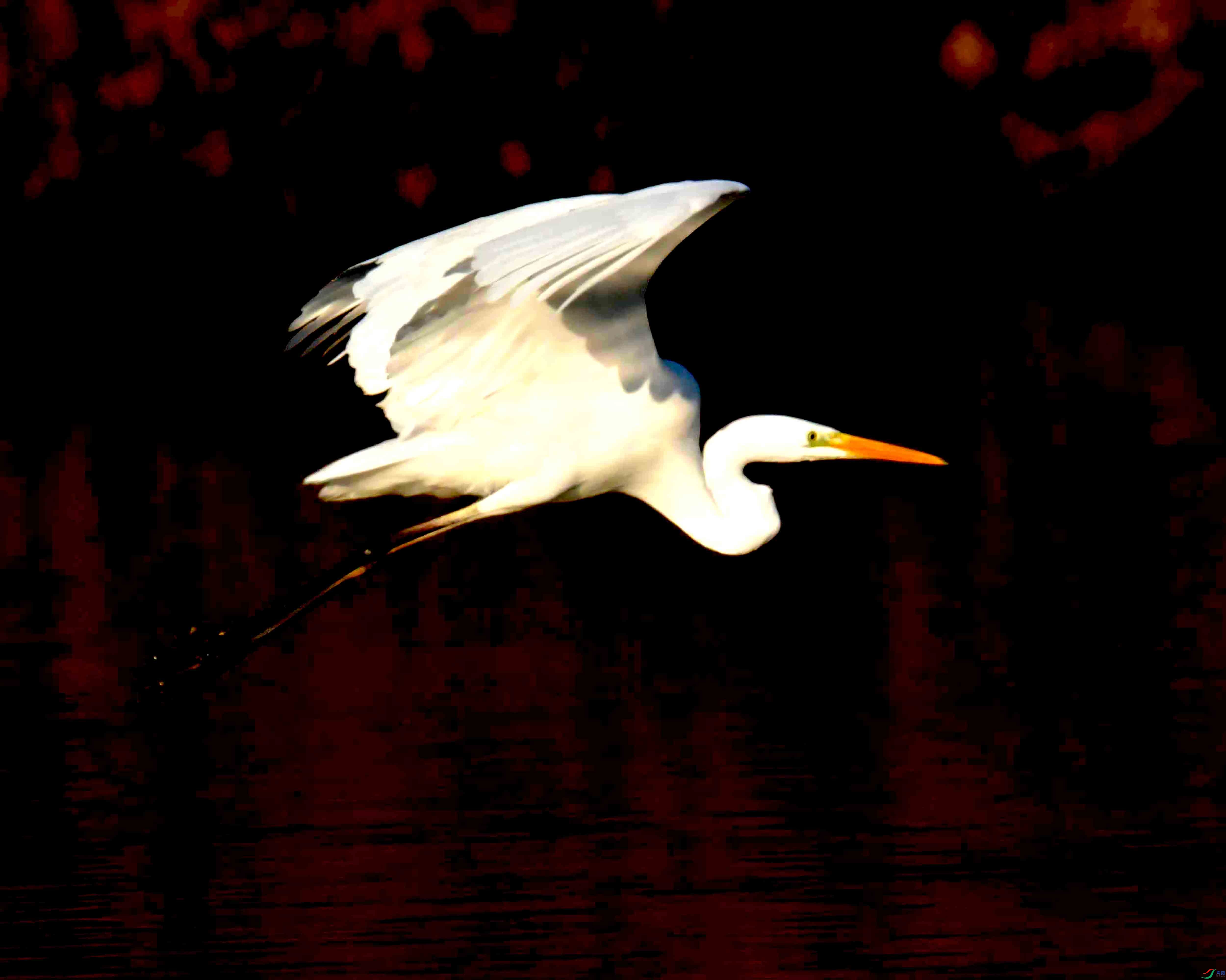 DSC_1781.JPG