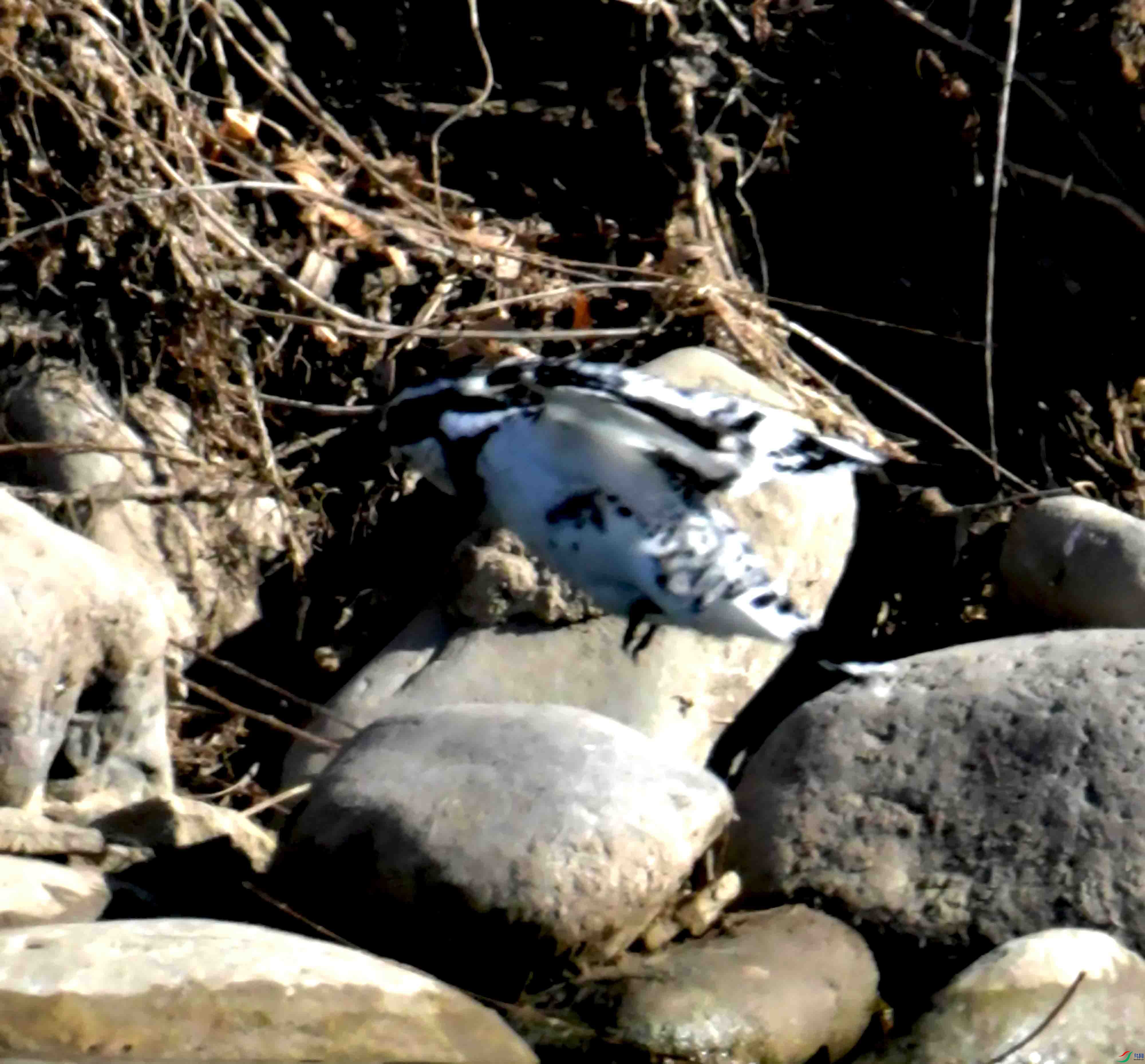 DSC_0670.JPG
