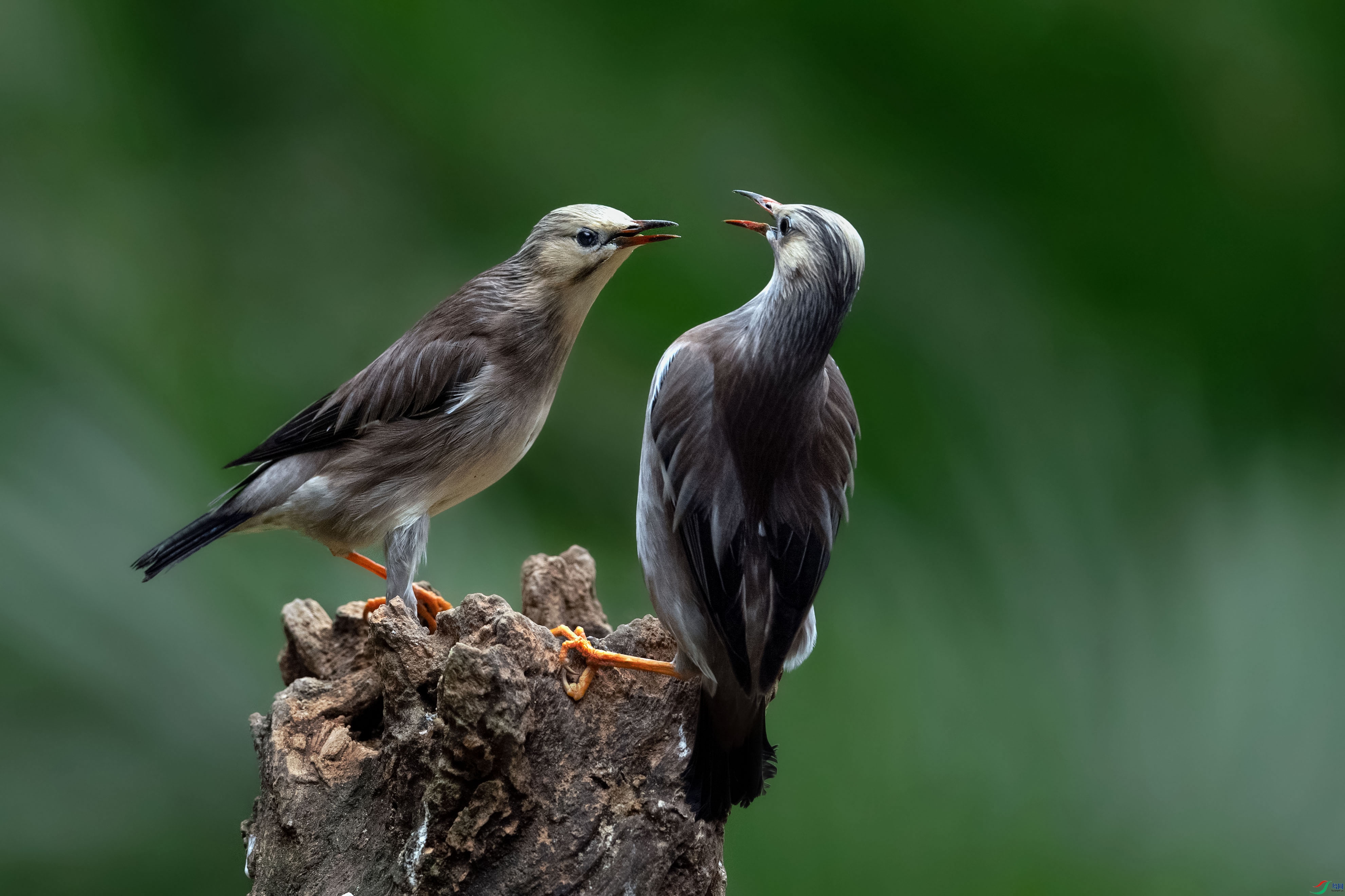 ����ǿ��_DSC6718 ����-1M.jpg