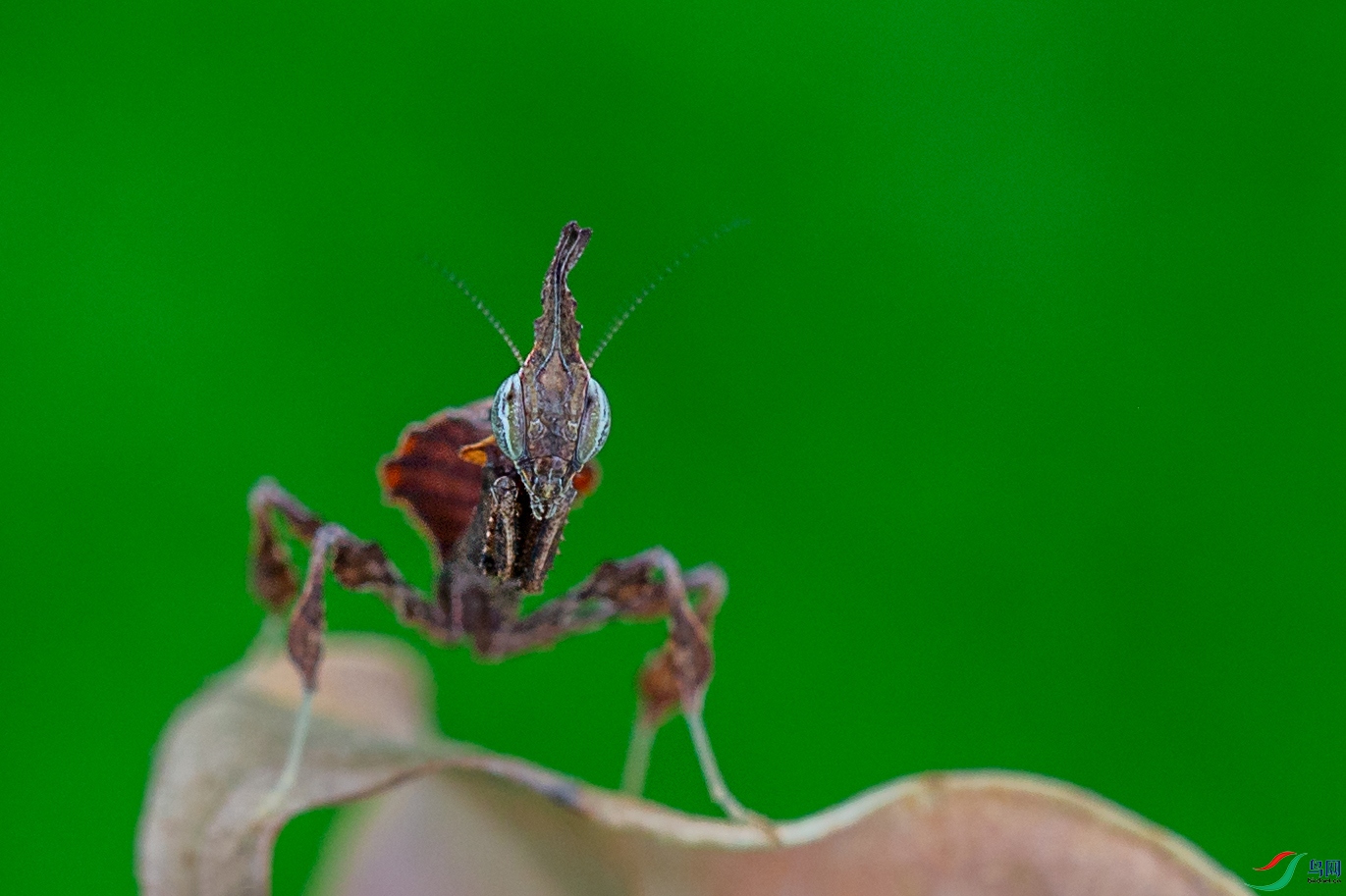 NK5A2196 ���� 2.jpg