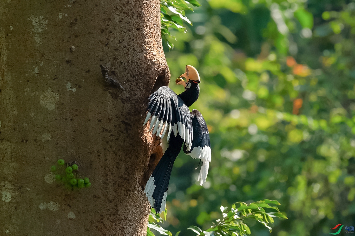 DSC_0968_DxOa.jpg